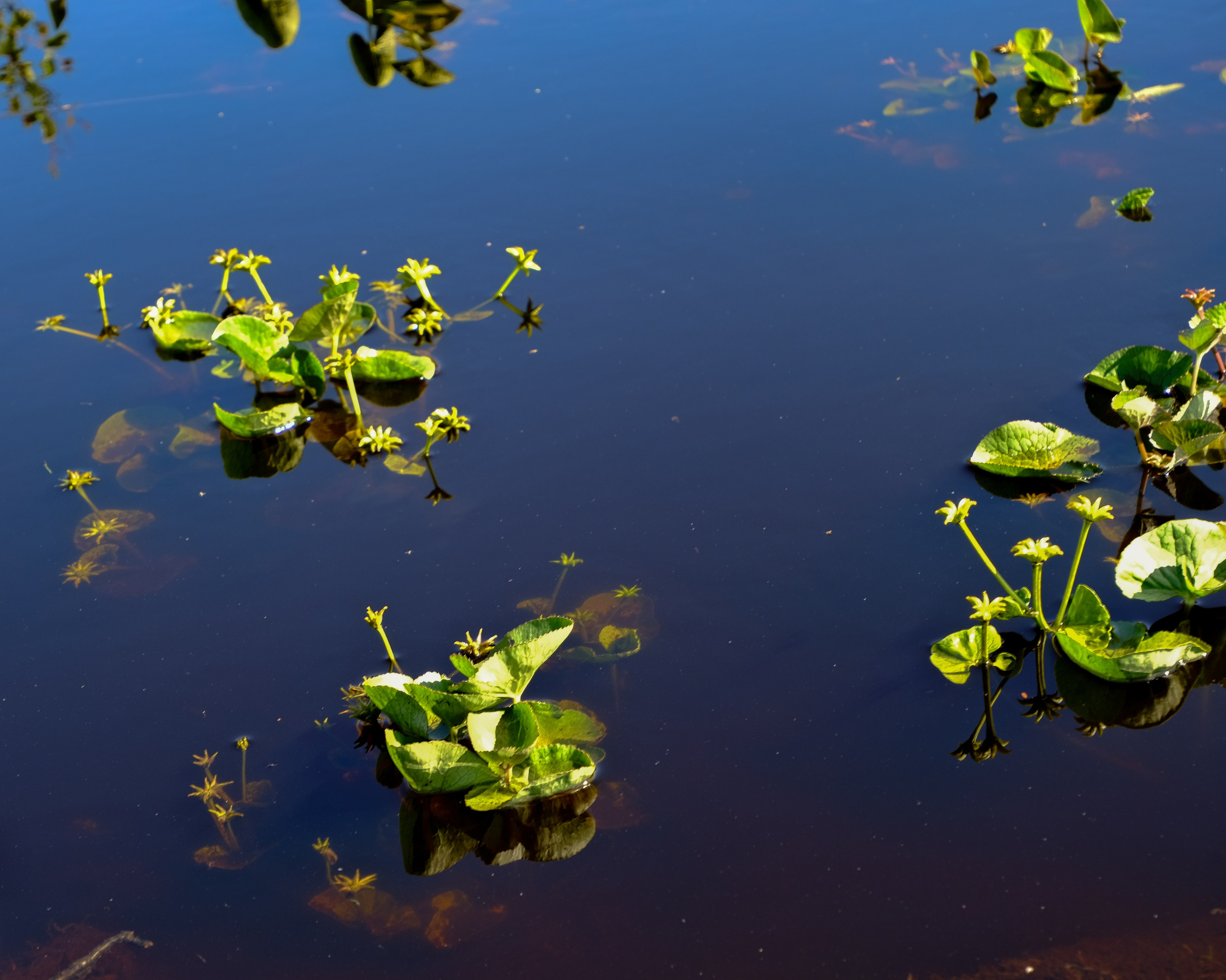 МУРМАНСК. Фотографии из путешествий