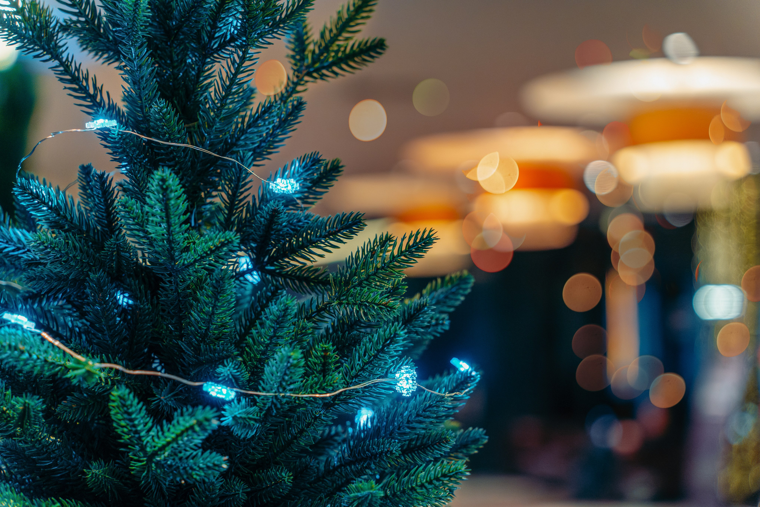 Новогодняя «Прибалтийская», Cosmos Group. Ваш фотограф в Санкт-Петербурге Анна Просвирина