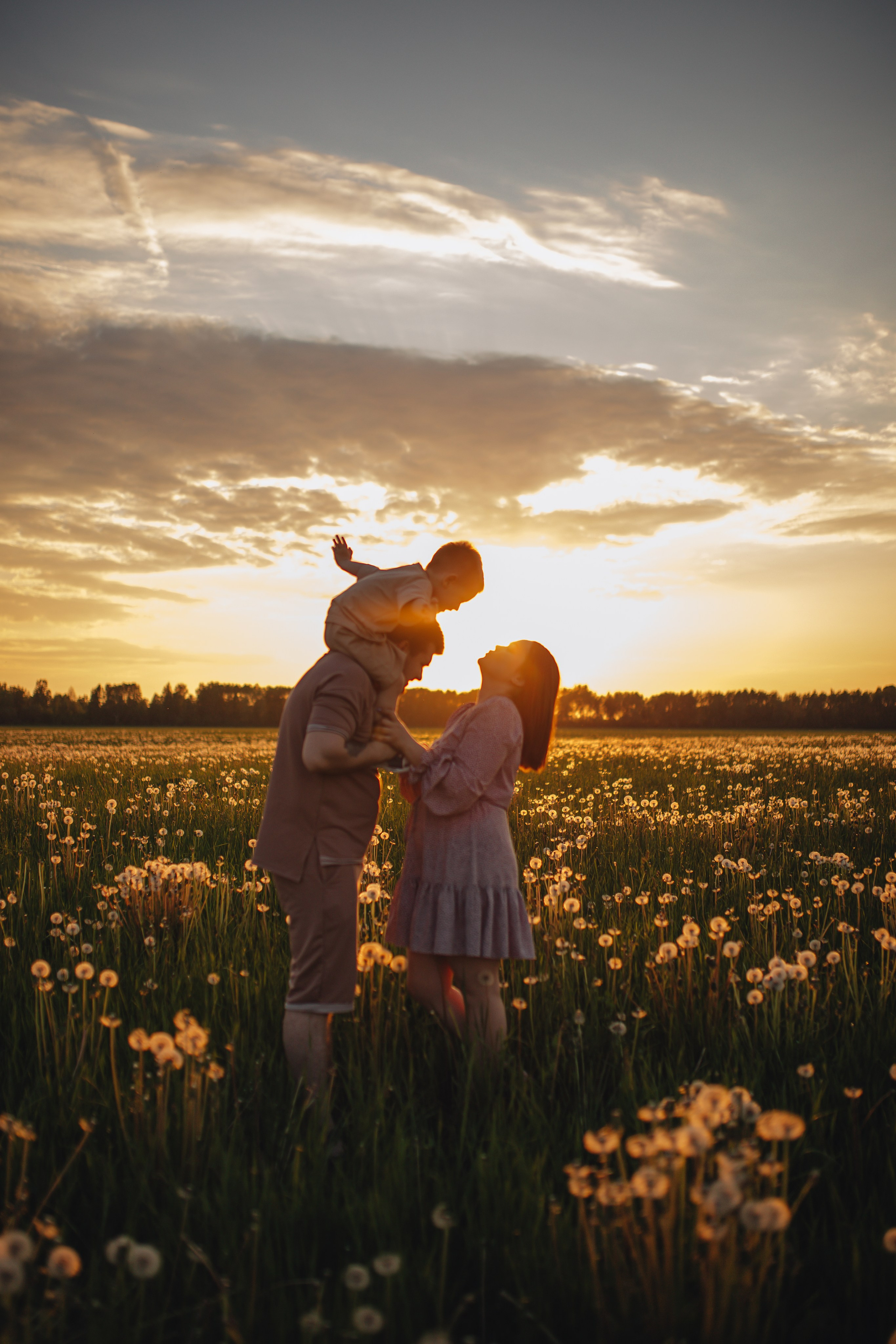 В поле на закате. Фотограф Винокурова Кристина в Санкт-Петербурге