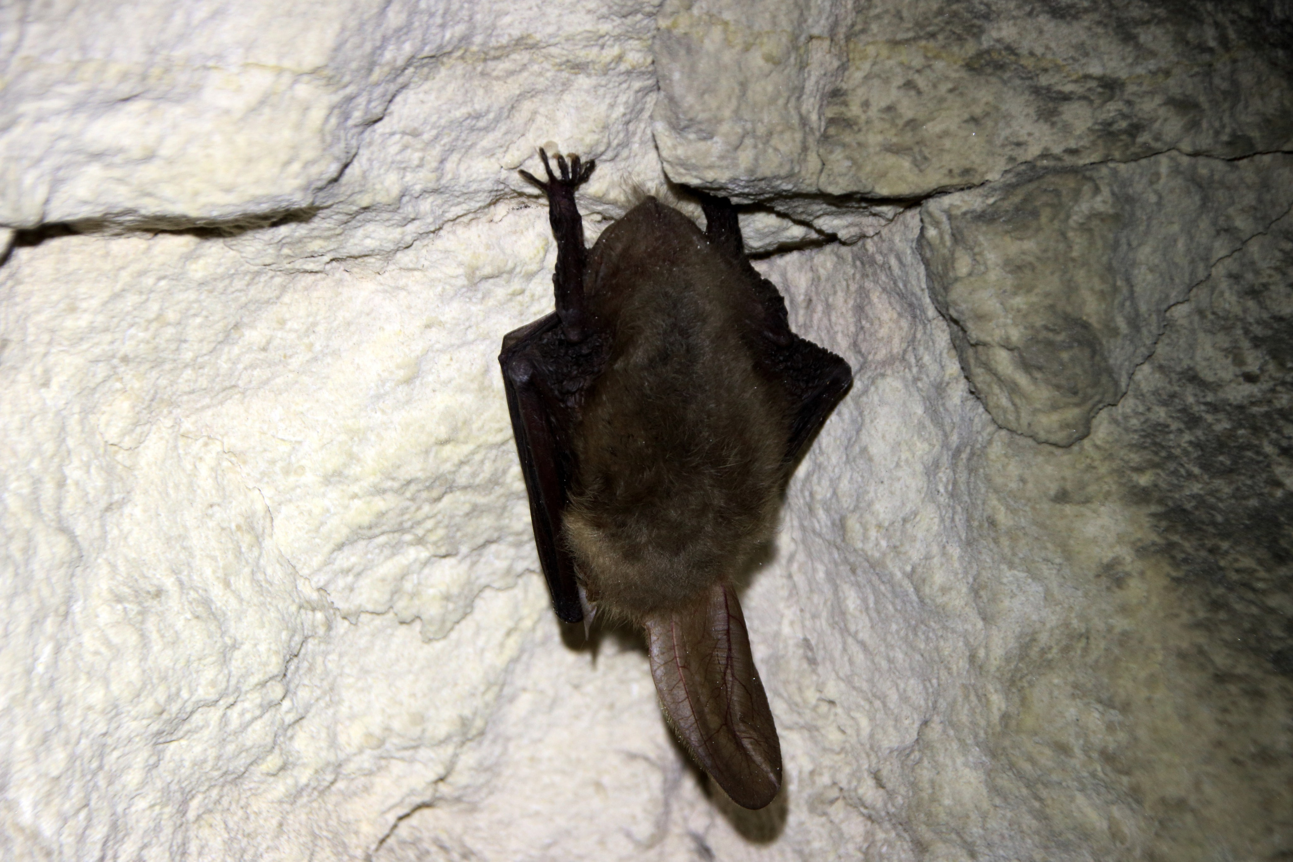 06.04.2019 пос. Ширяево. Штольни. Фотообъединение Самарского областного отделения Союза журналистов России