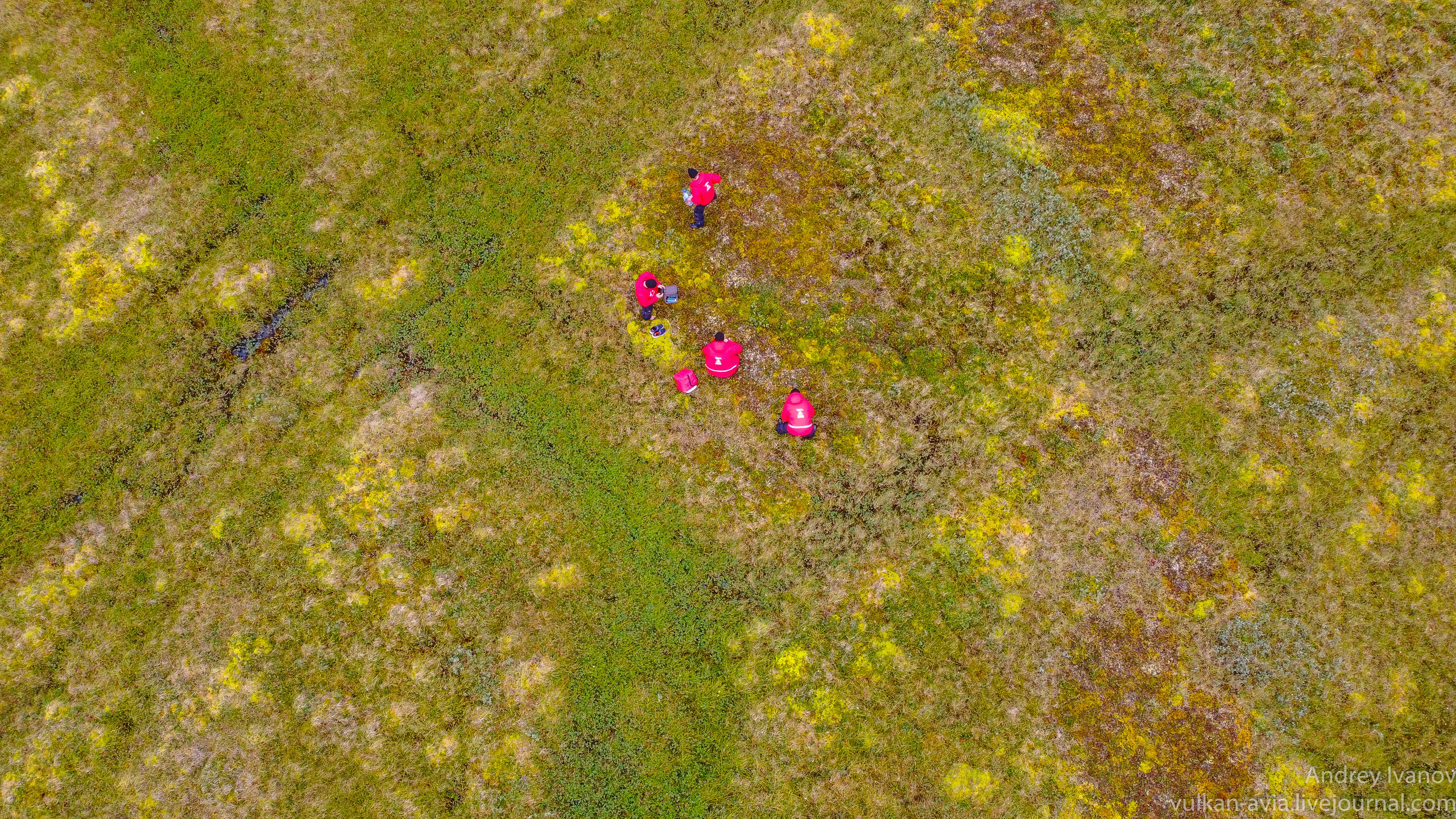 Амдерма — наука (2020 г.). Фотоальбом показывающий увлекательный мир авиации и мир медведей Андрея Иванова