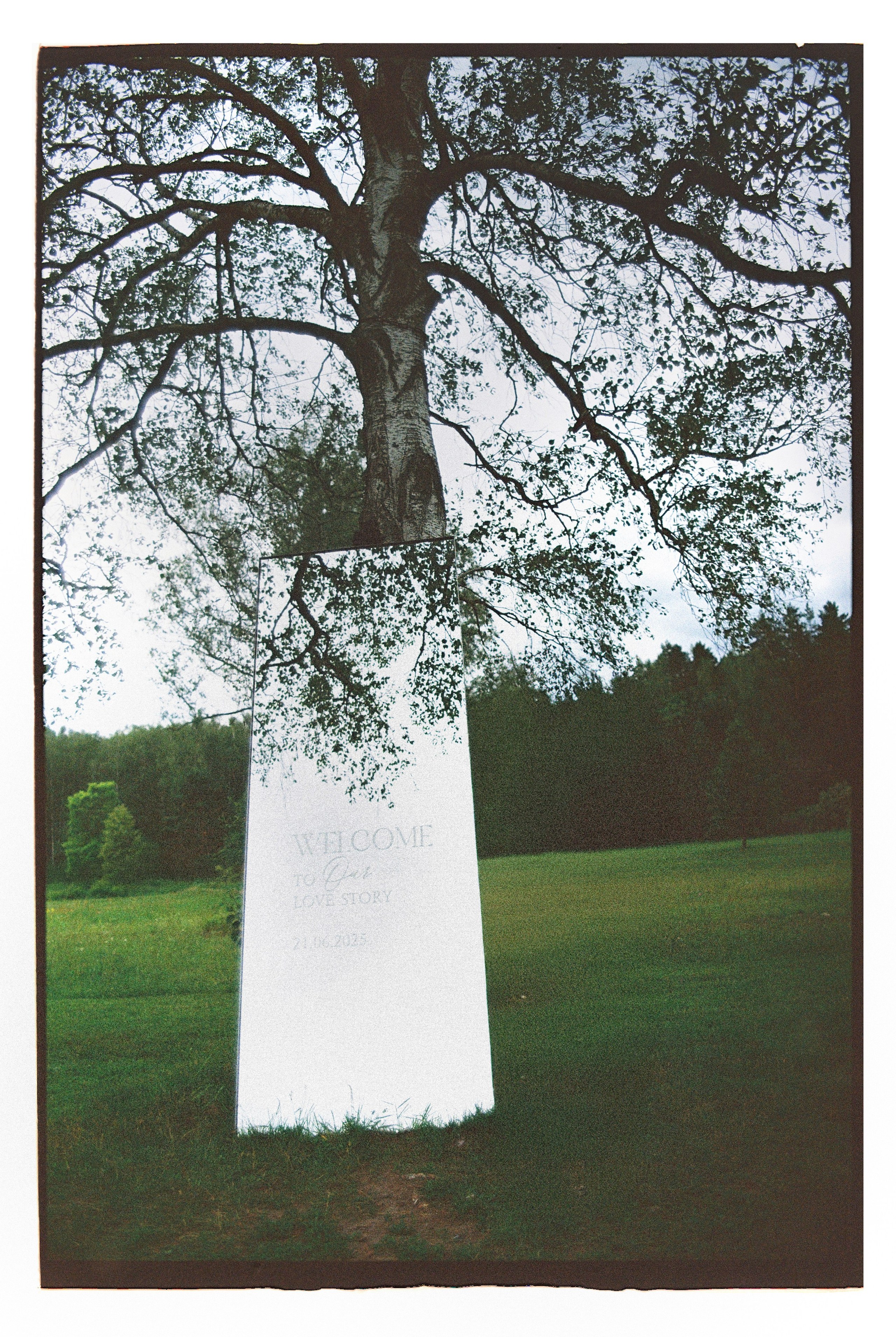 Илья и Анастасия FILM PLenka. Фотограф Елена Маринина Москва