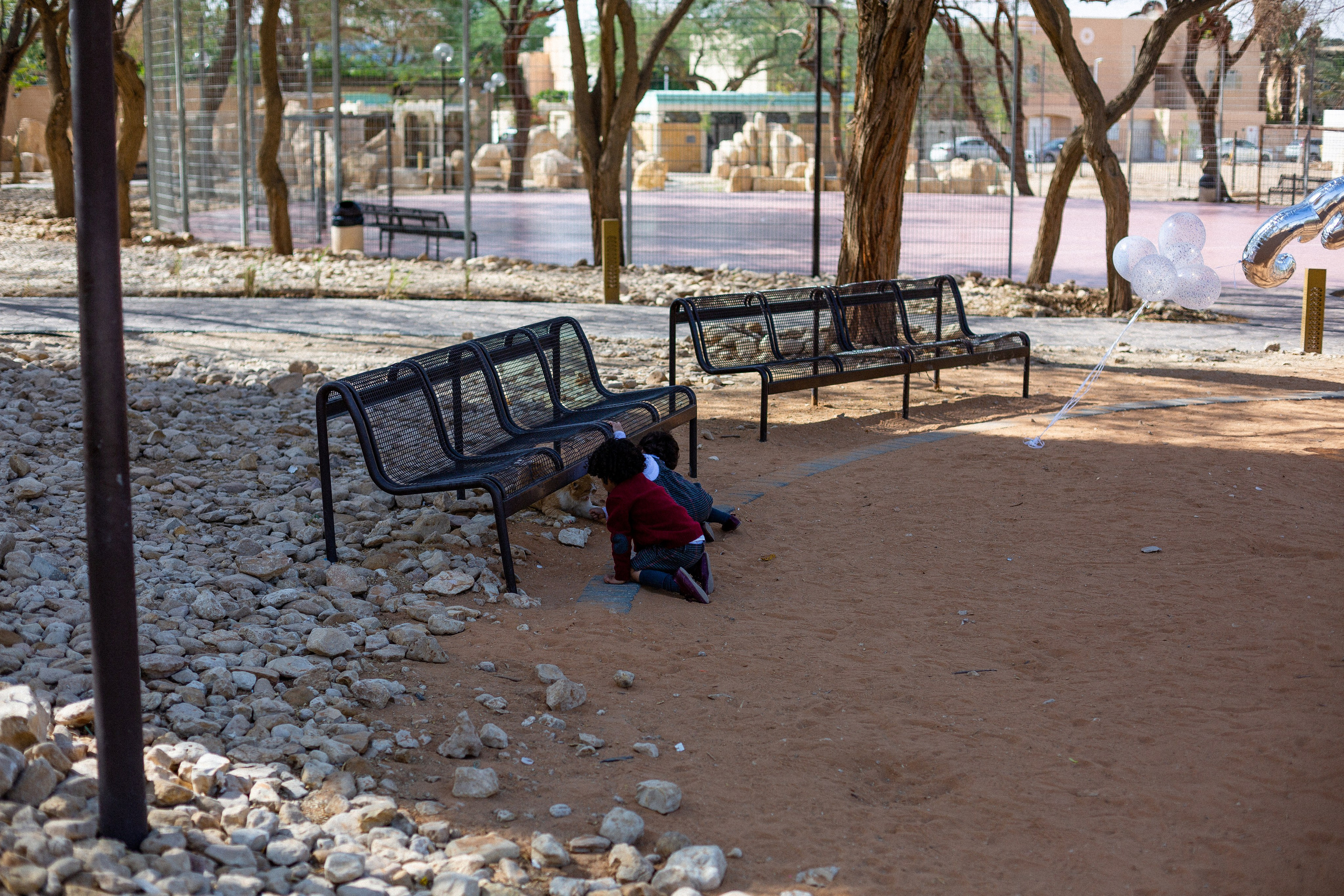 Дияб и Мухаммед