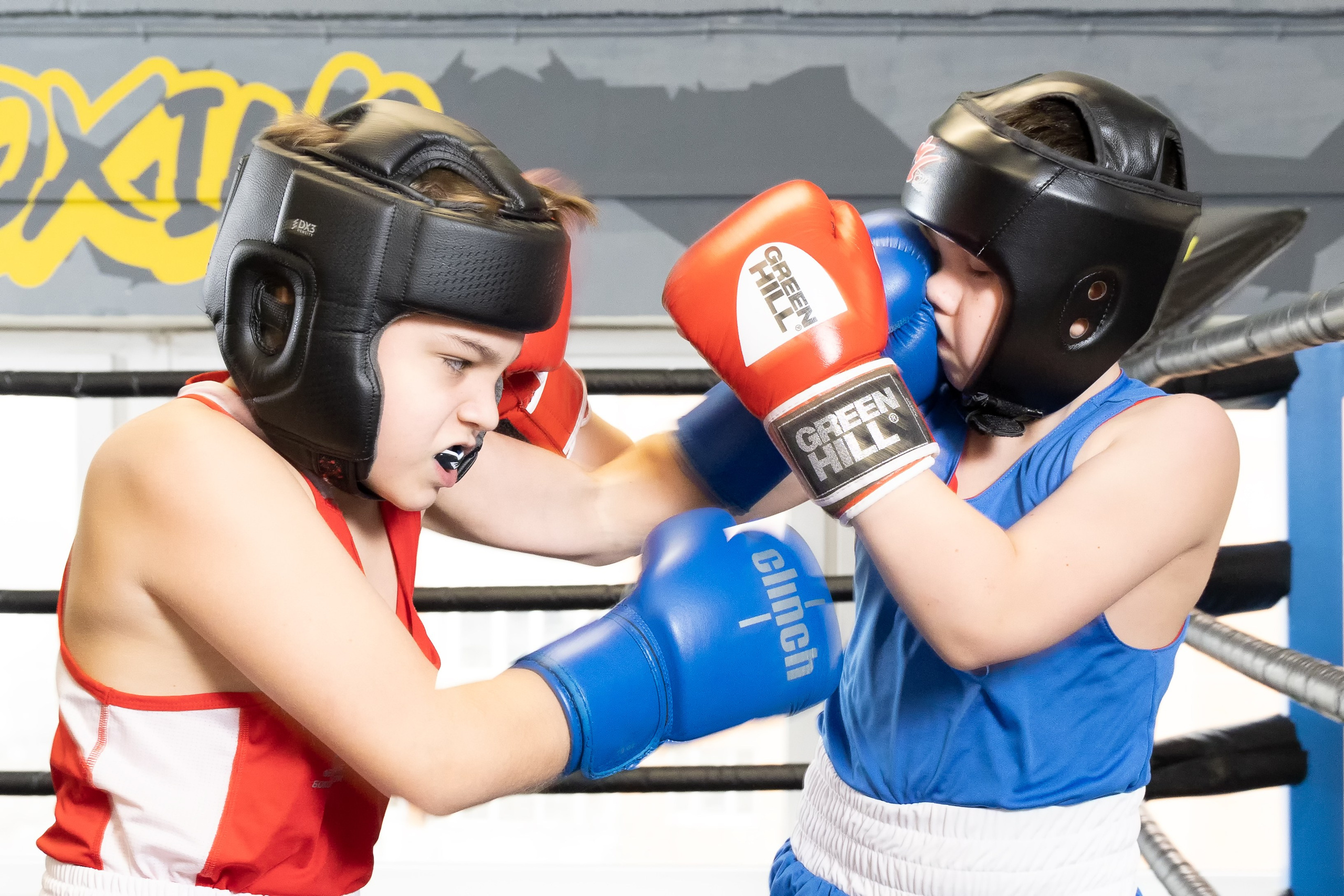 Бокс. Photomantis