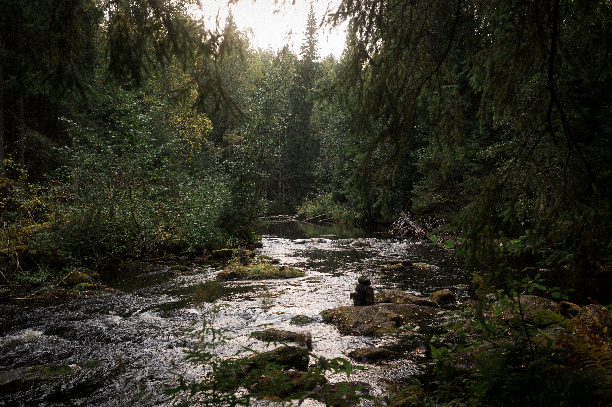 North 2024. Kartascheff