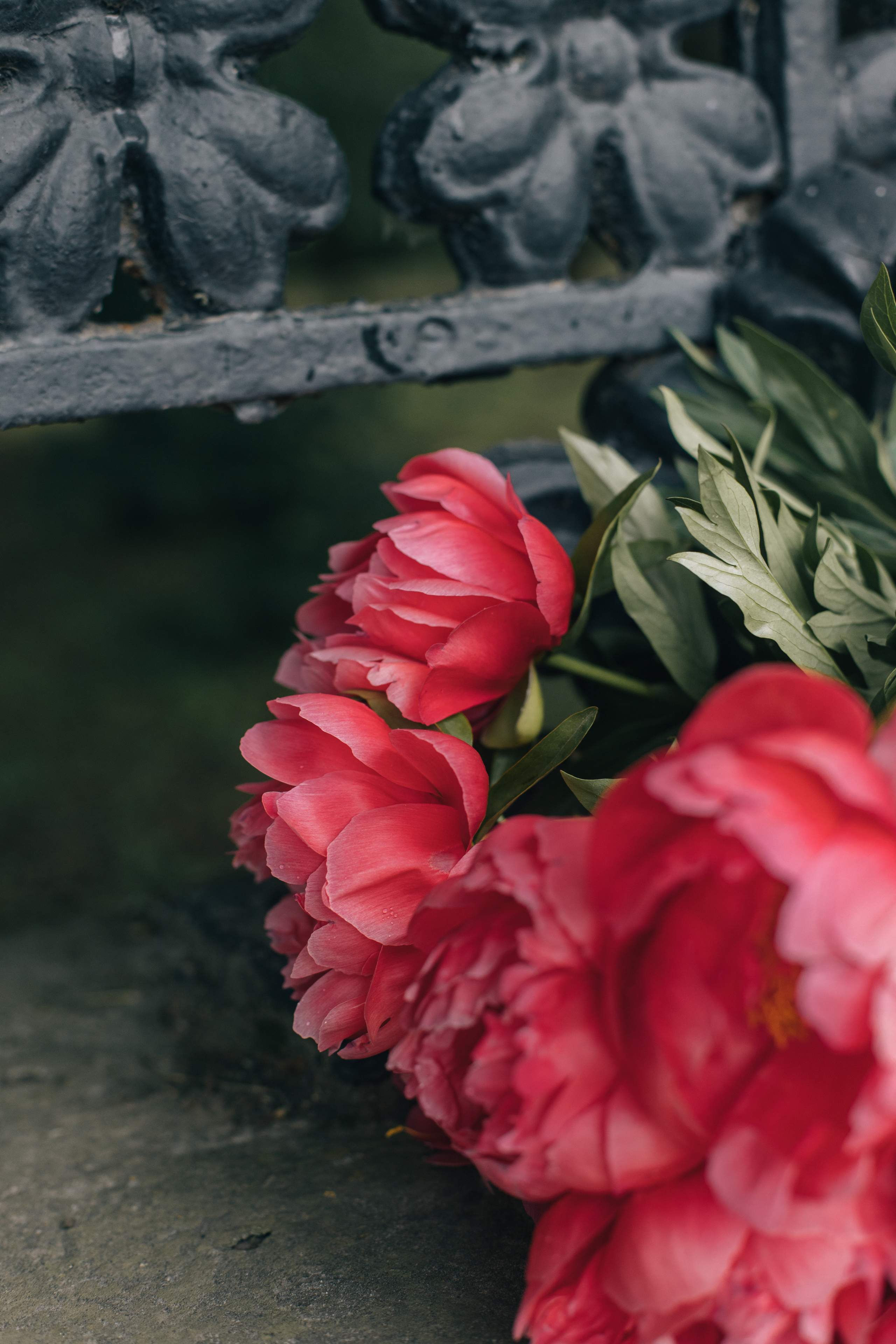 Ира. Фотограф Таганрог Любимая Надя