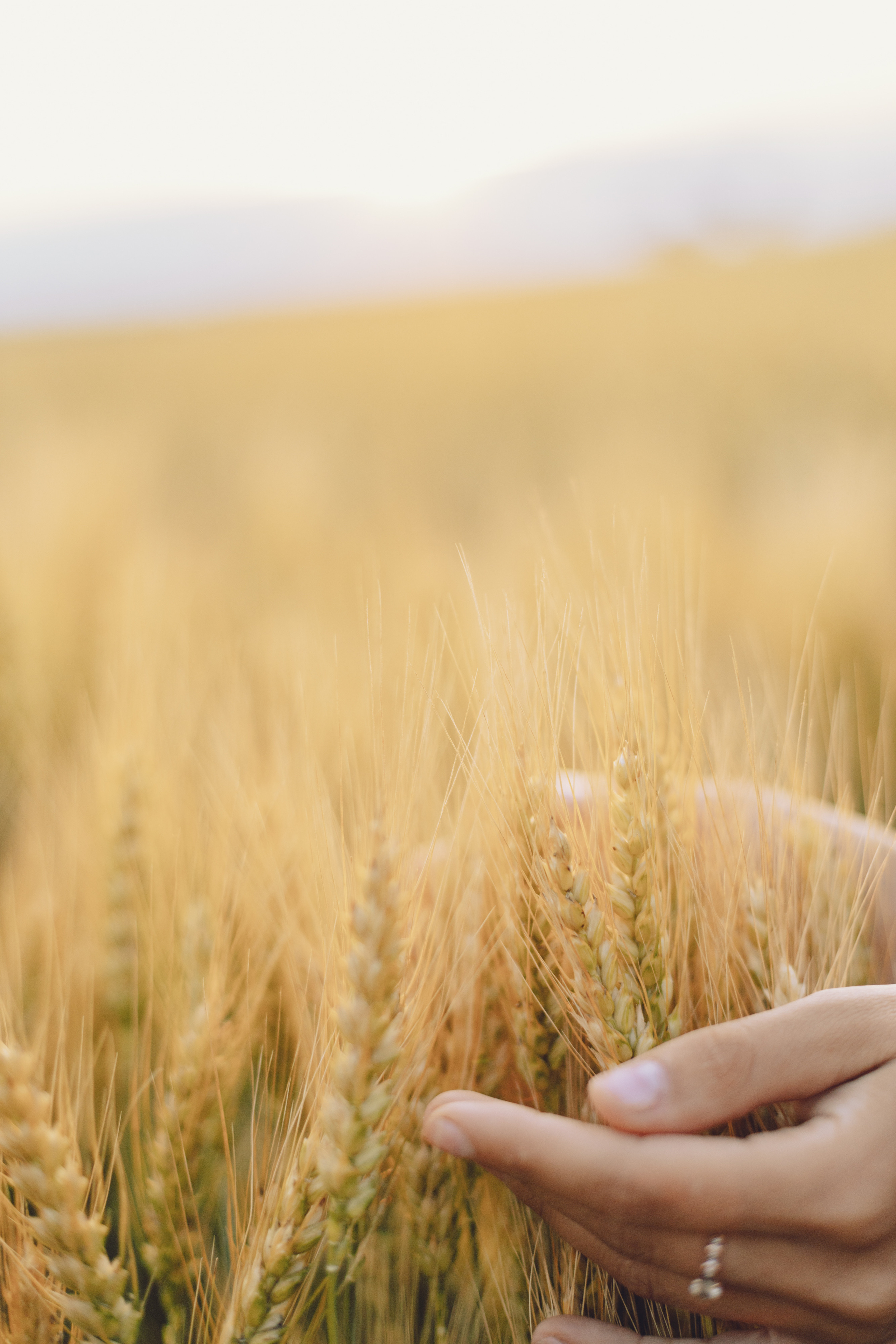 Настя. Фотограф Таганрог Любимая Надя