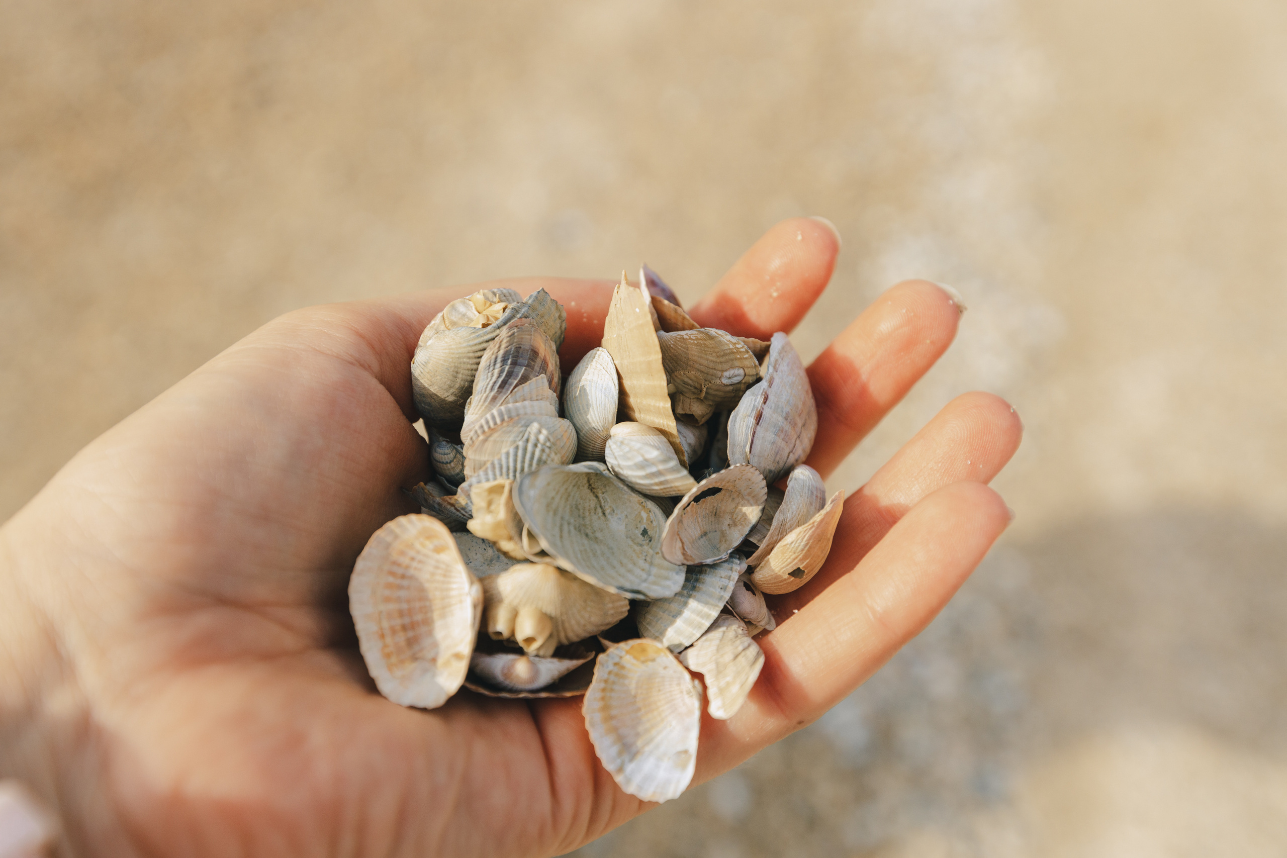 Алена, Николай и Полина. Фотограф Таганрог Любимая Надя