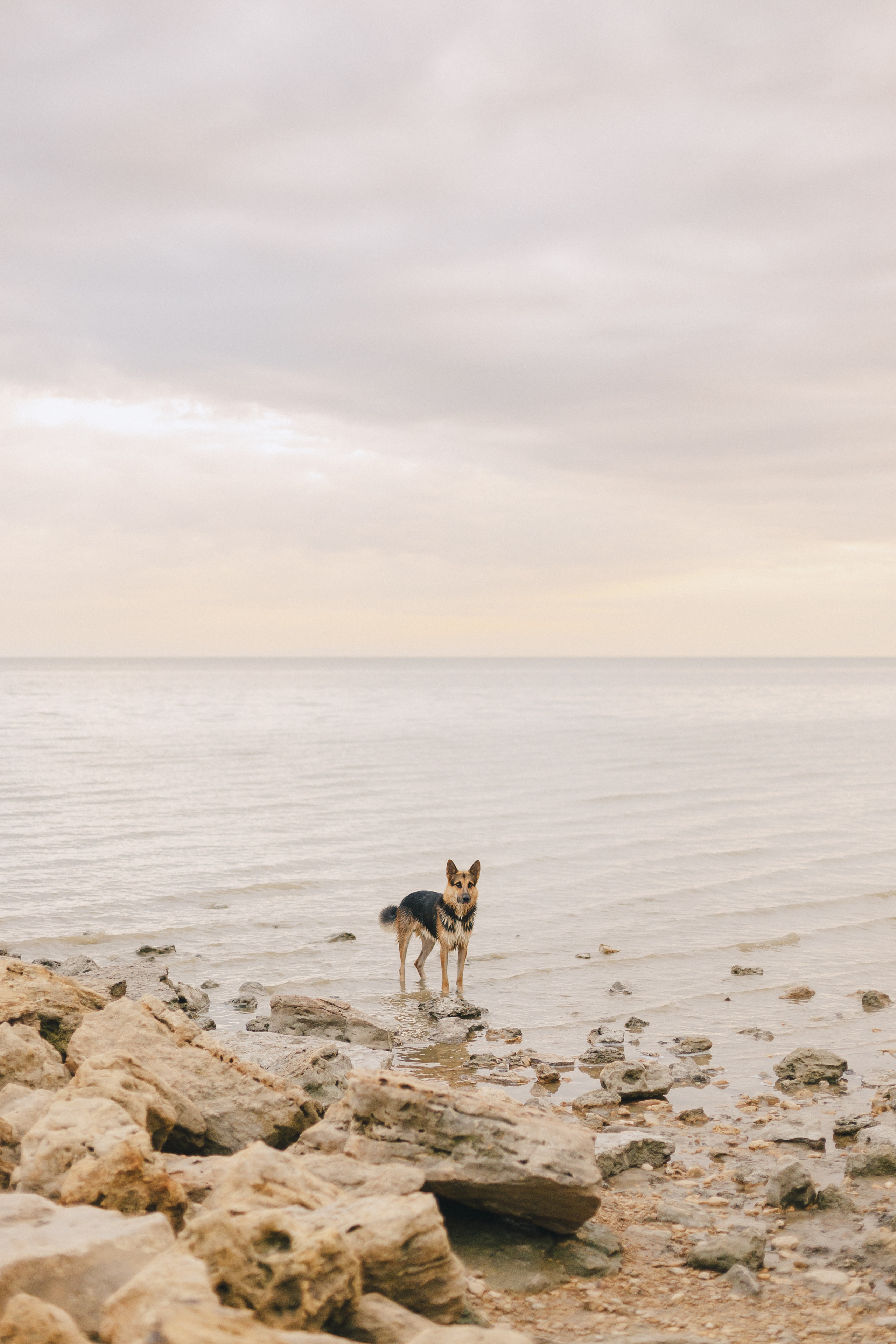 Анна и Алексей. Фотограф Таганрог Любимая Надя