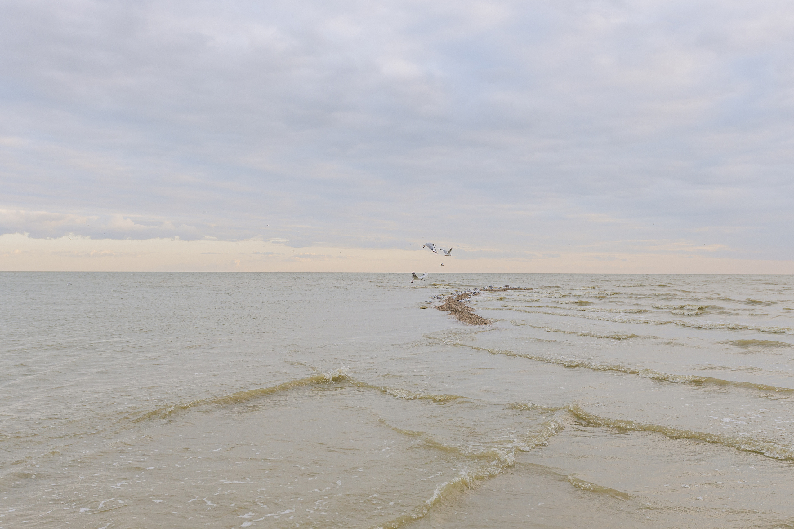 Ульяна, Костя и Влада. Фотограф Таганрог Любимая Надя