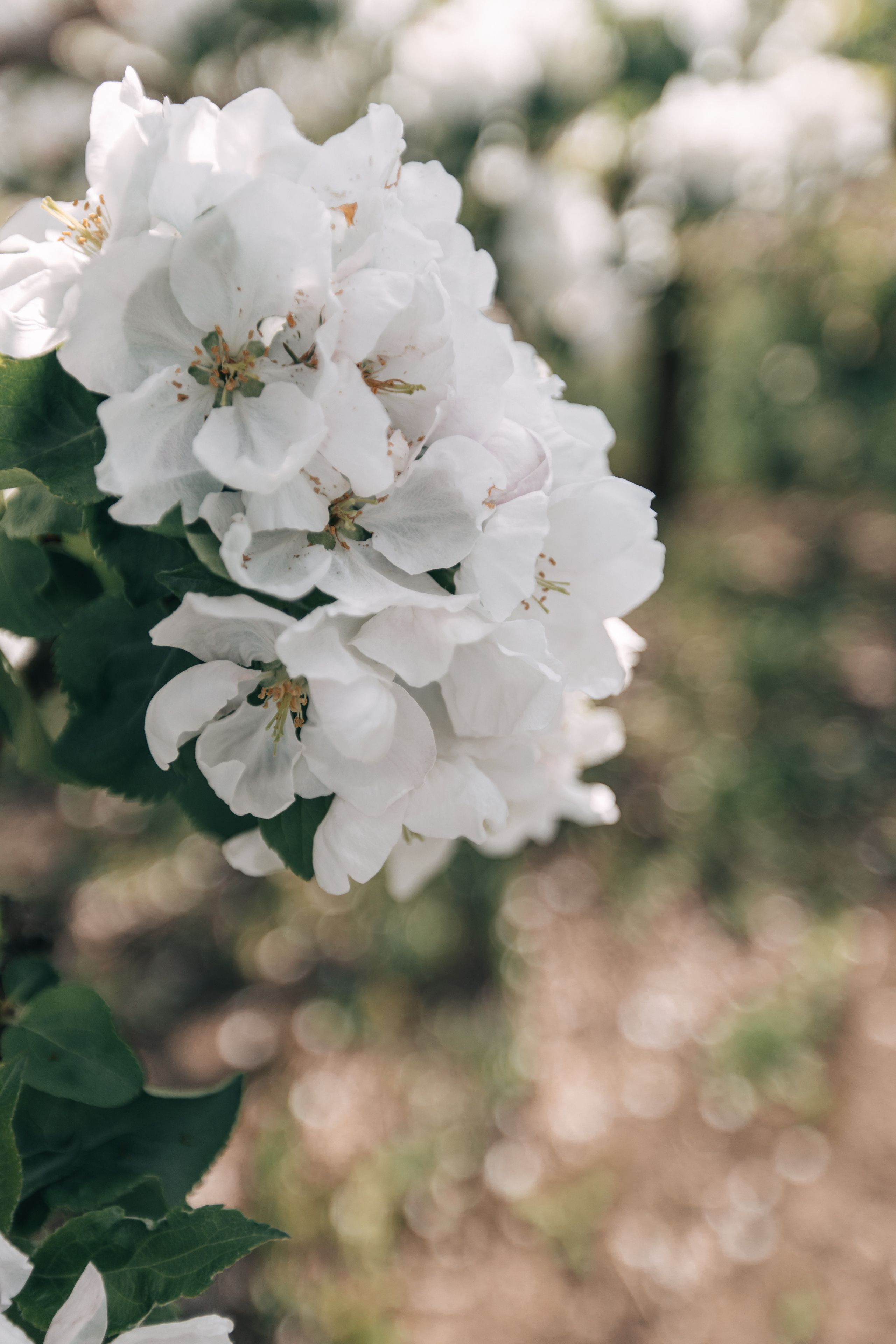 Карина, Илья, и Аня. Фотограф Таганрог Любимая Надя