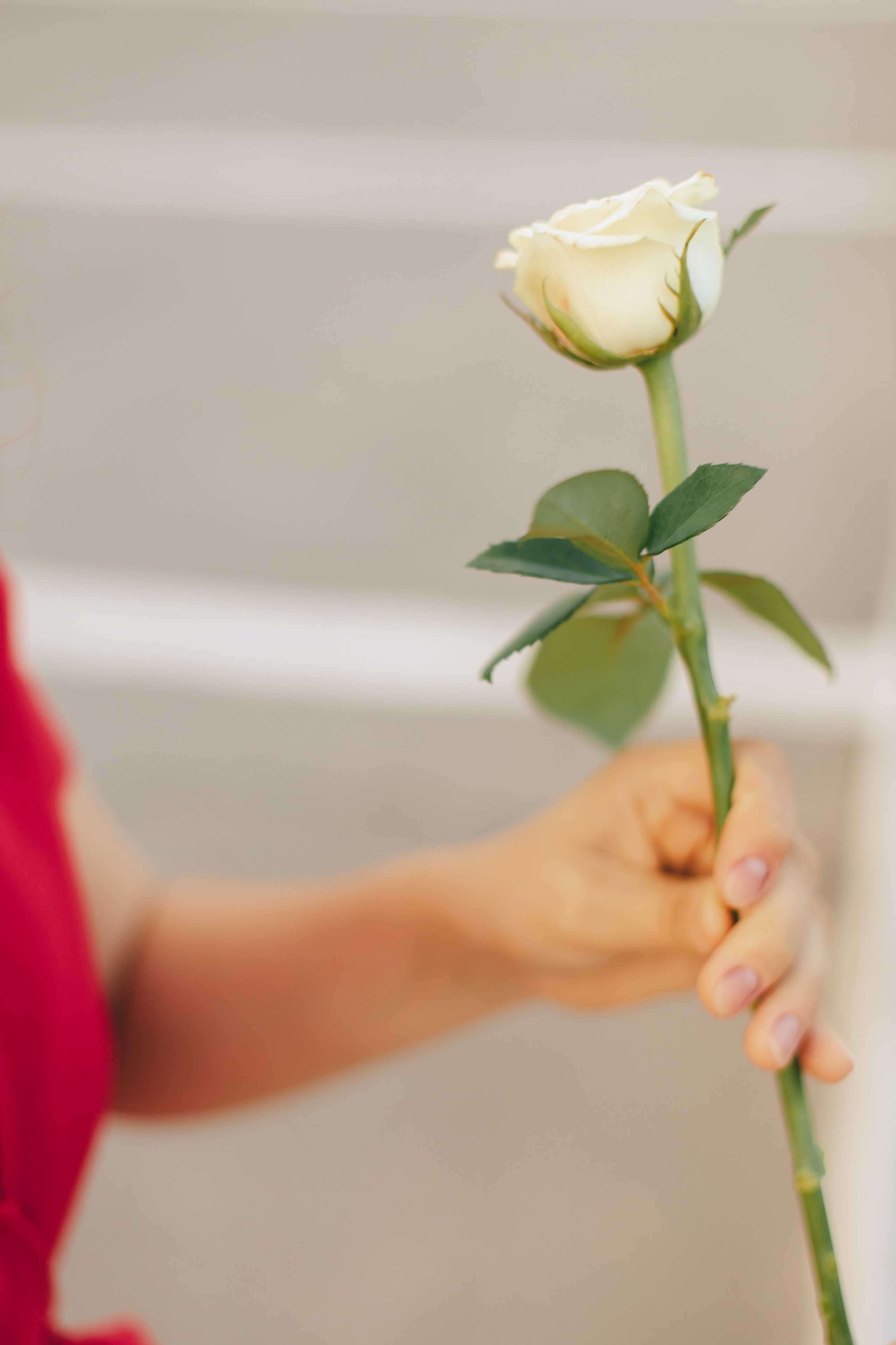 Таня. Фотограф Таганрог Любимая Надя