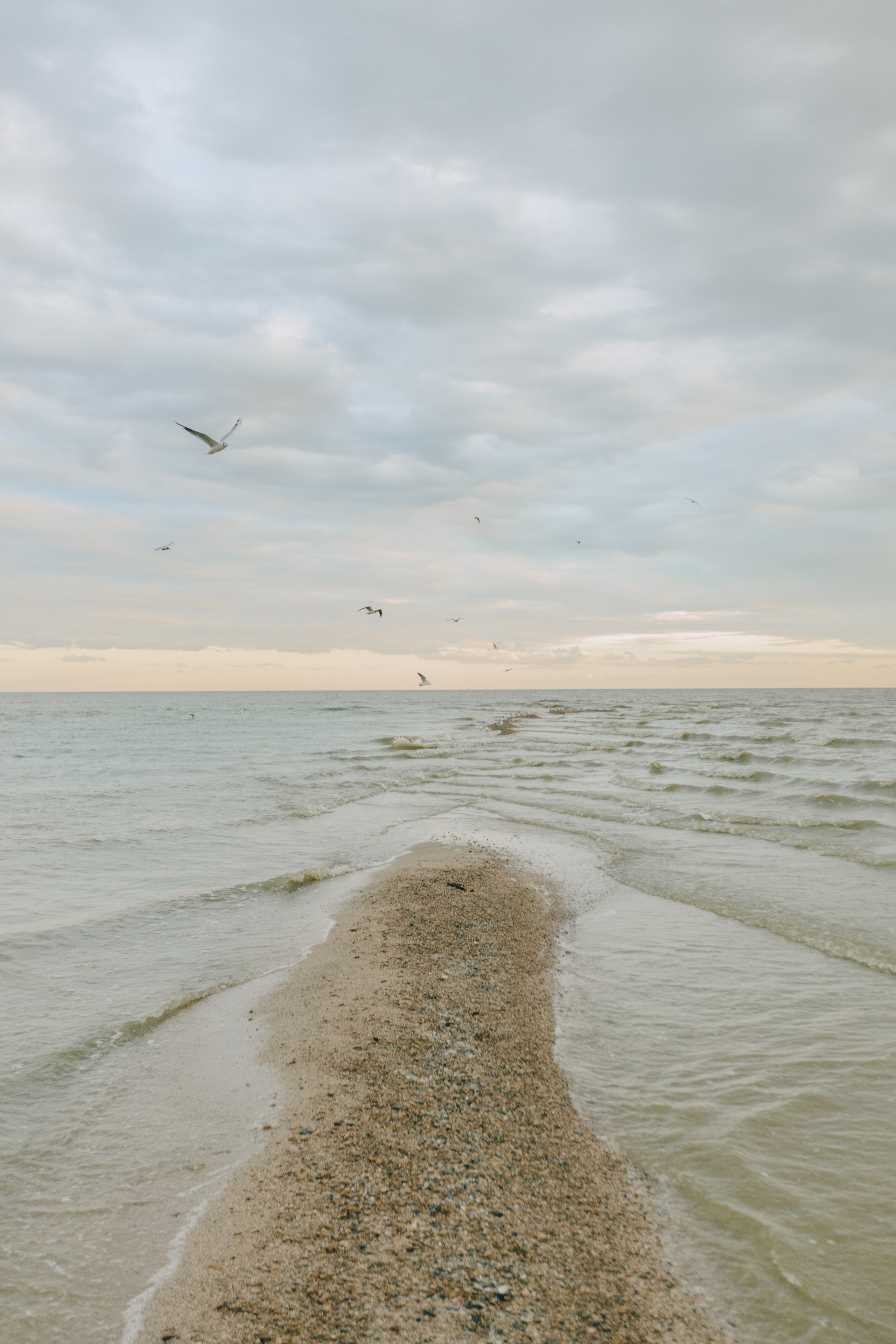 Ульяна, Костя и Влада. Фотограф Таганрог Любимая Надя