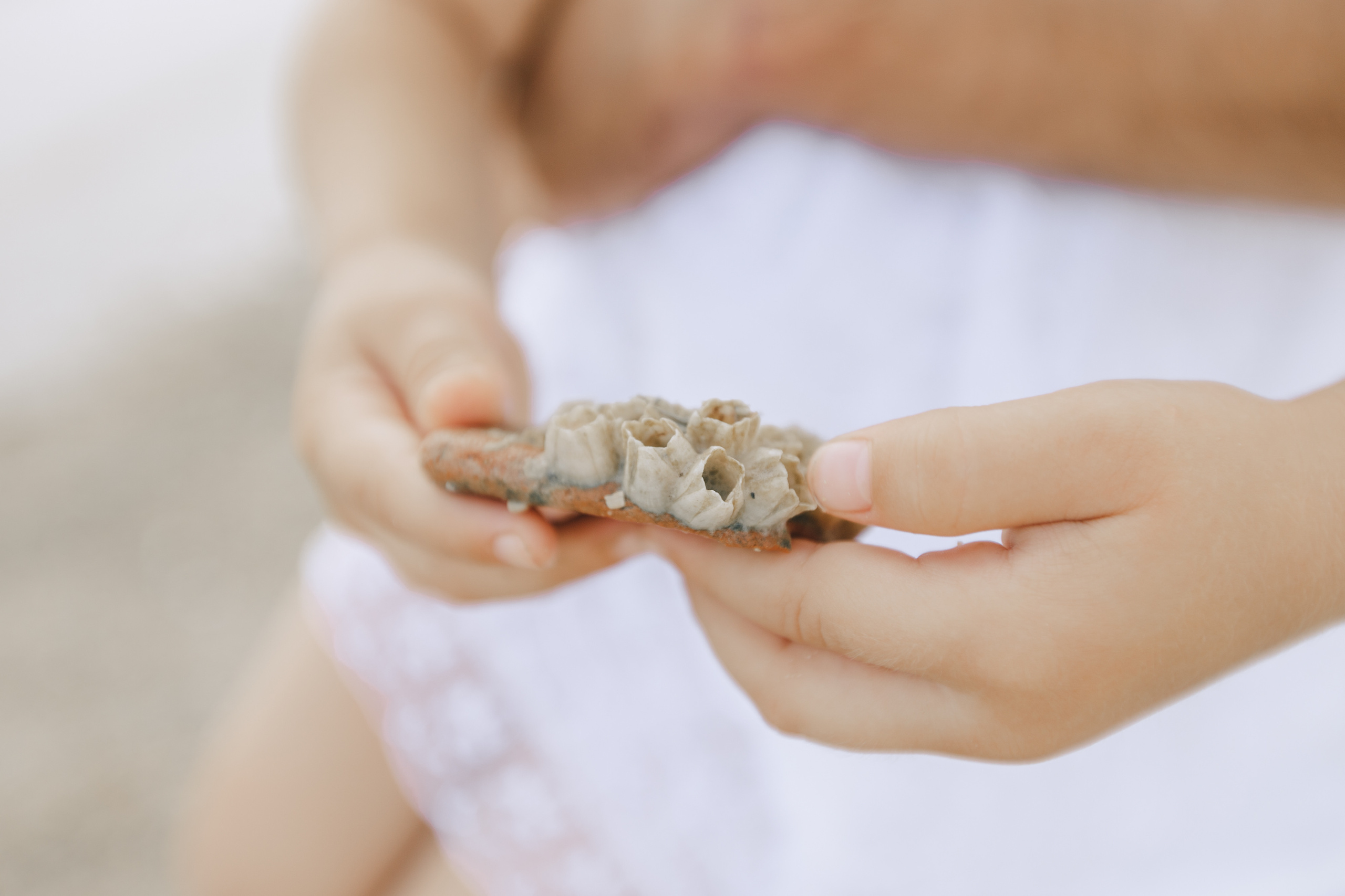 Алена, Николай и Полина. Фотограф Таганрог Любимая Надя