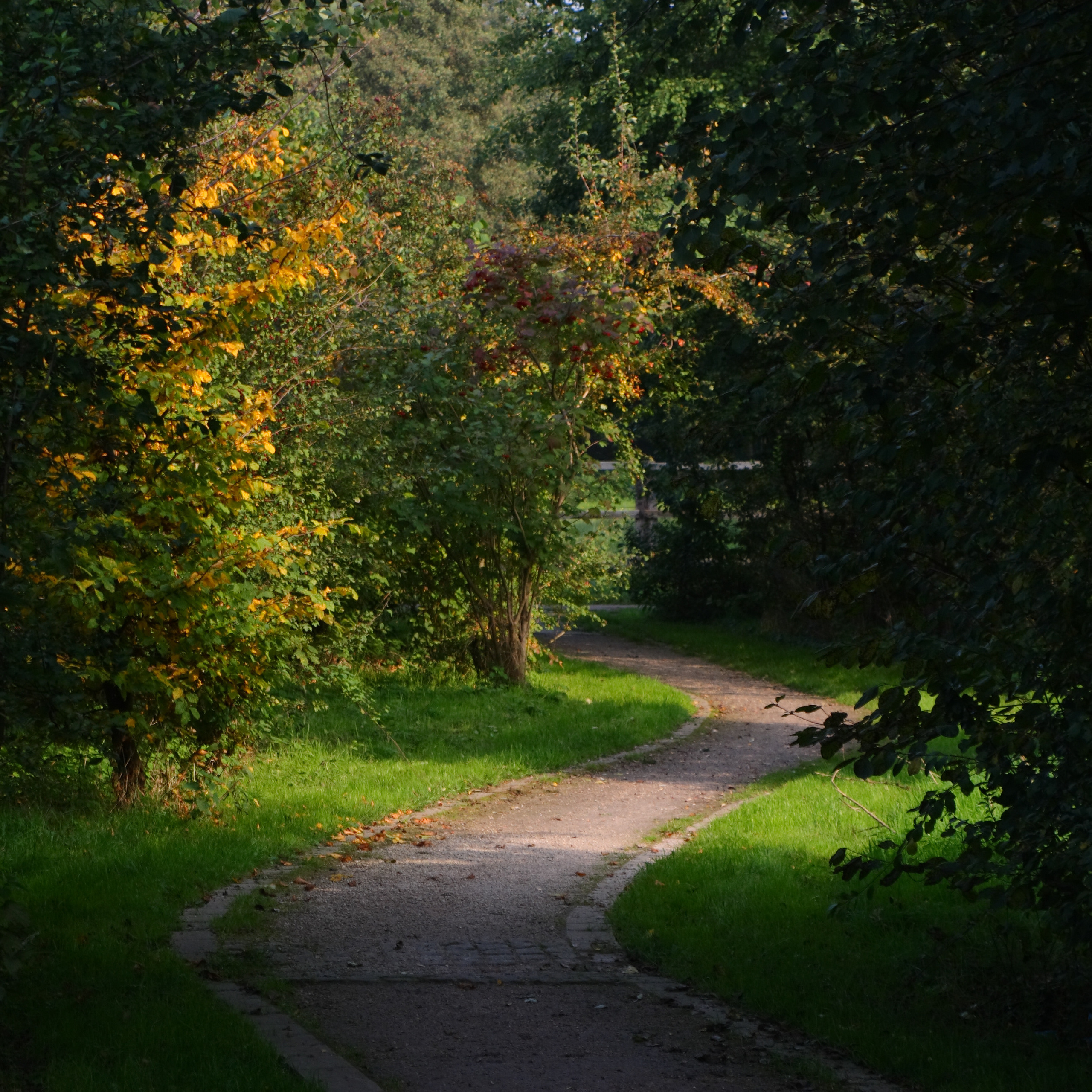 Пейзаж, природа. Портретный фотограф Станислав Жуков | Москва