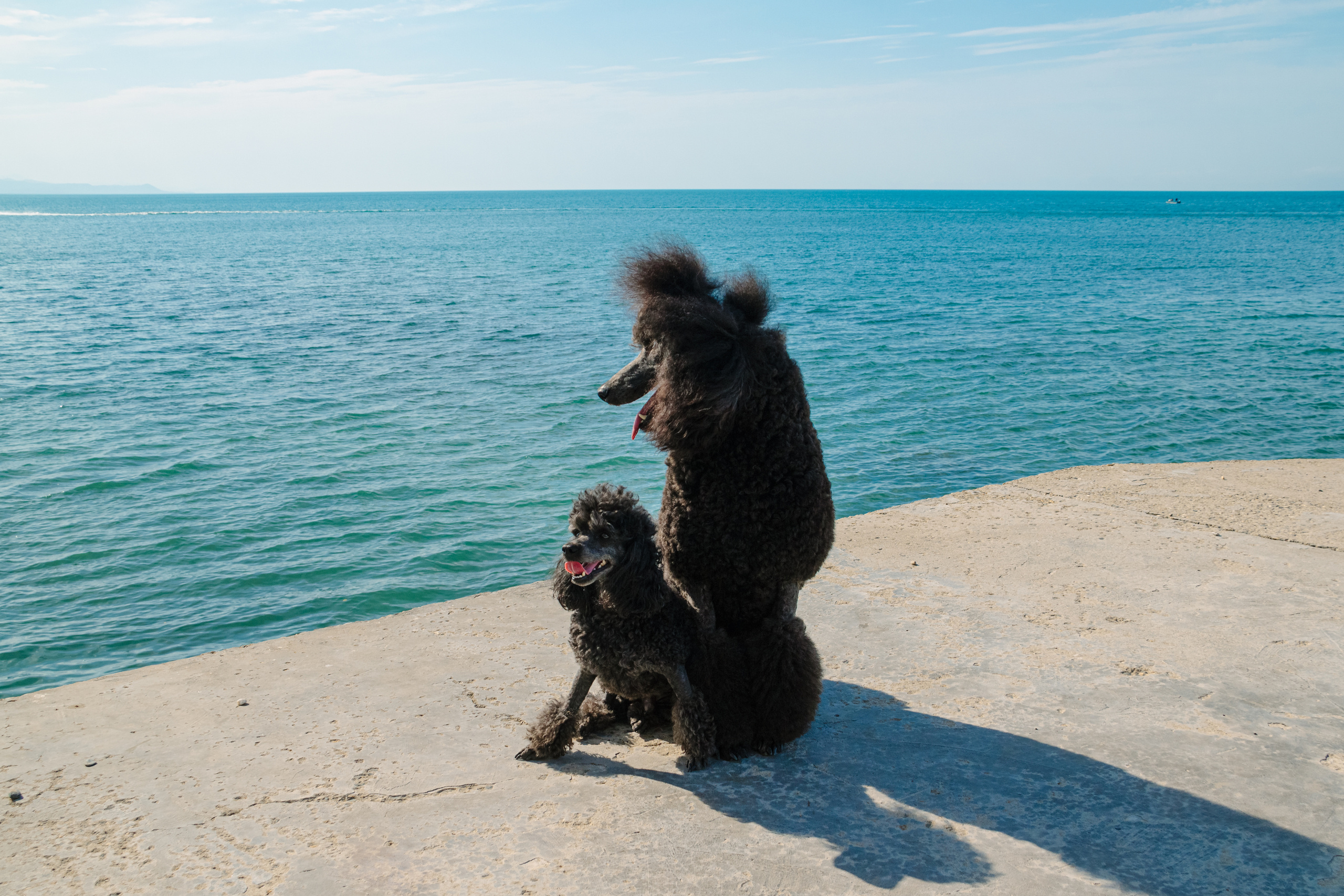 Ваш семейный фотограф Евгения в г. Москва