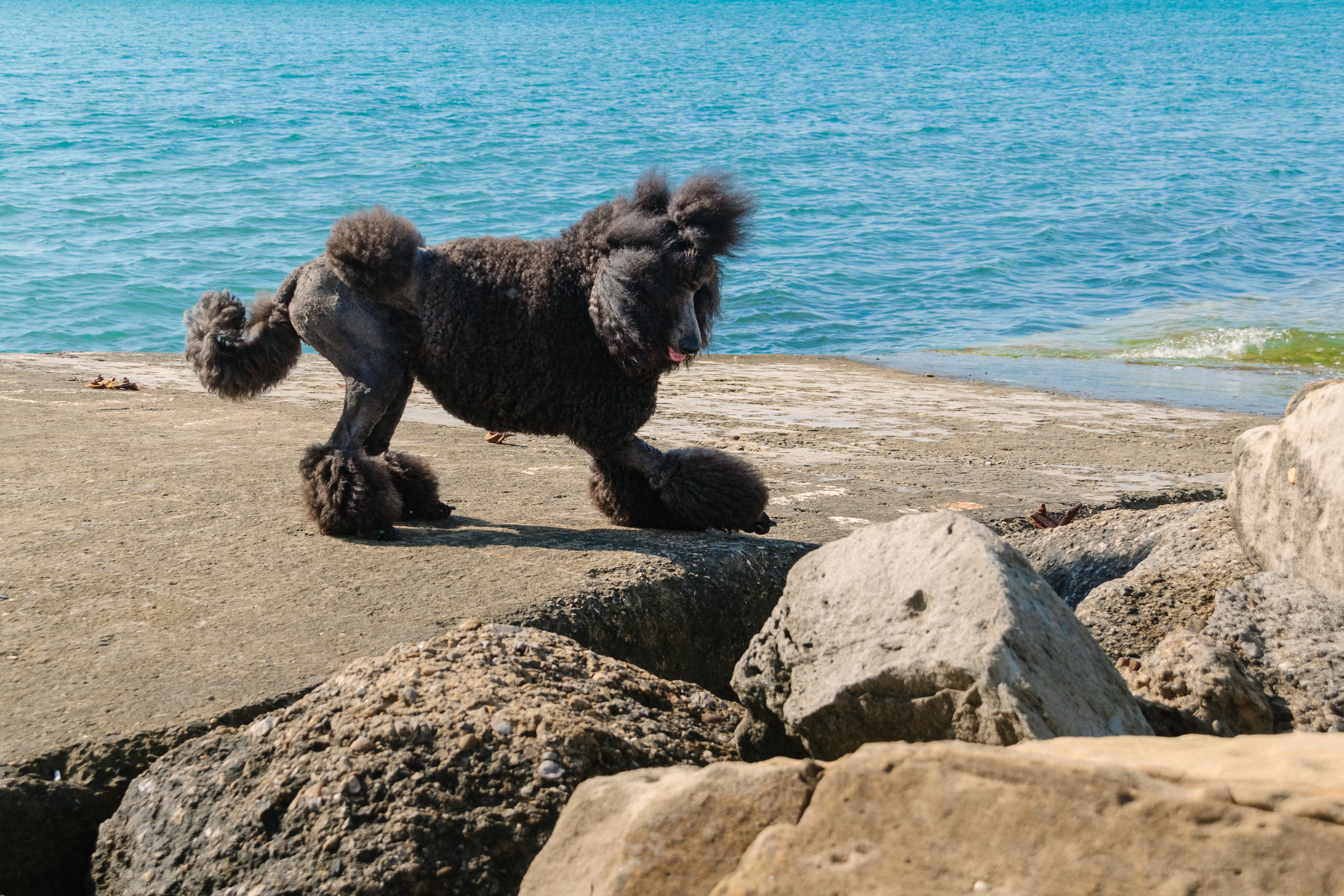Ваш семейный фотограф Евгения в г. Москва