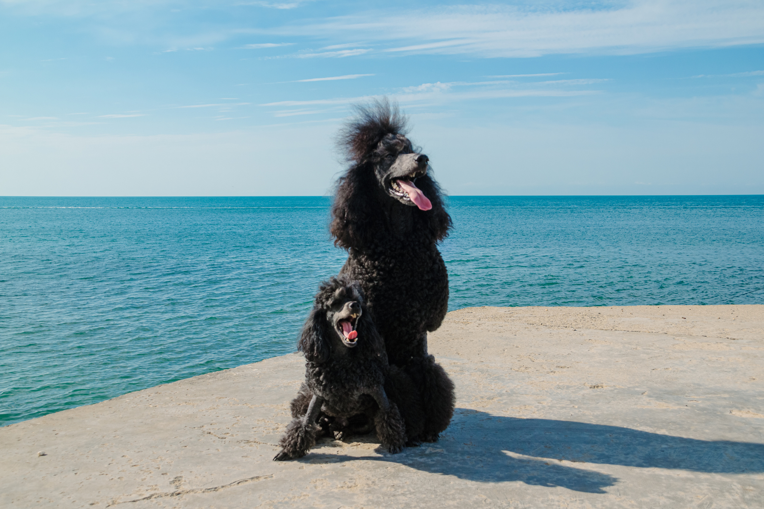 Ваш семейный фотограф Евгения в г. Москва