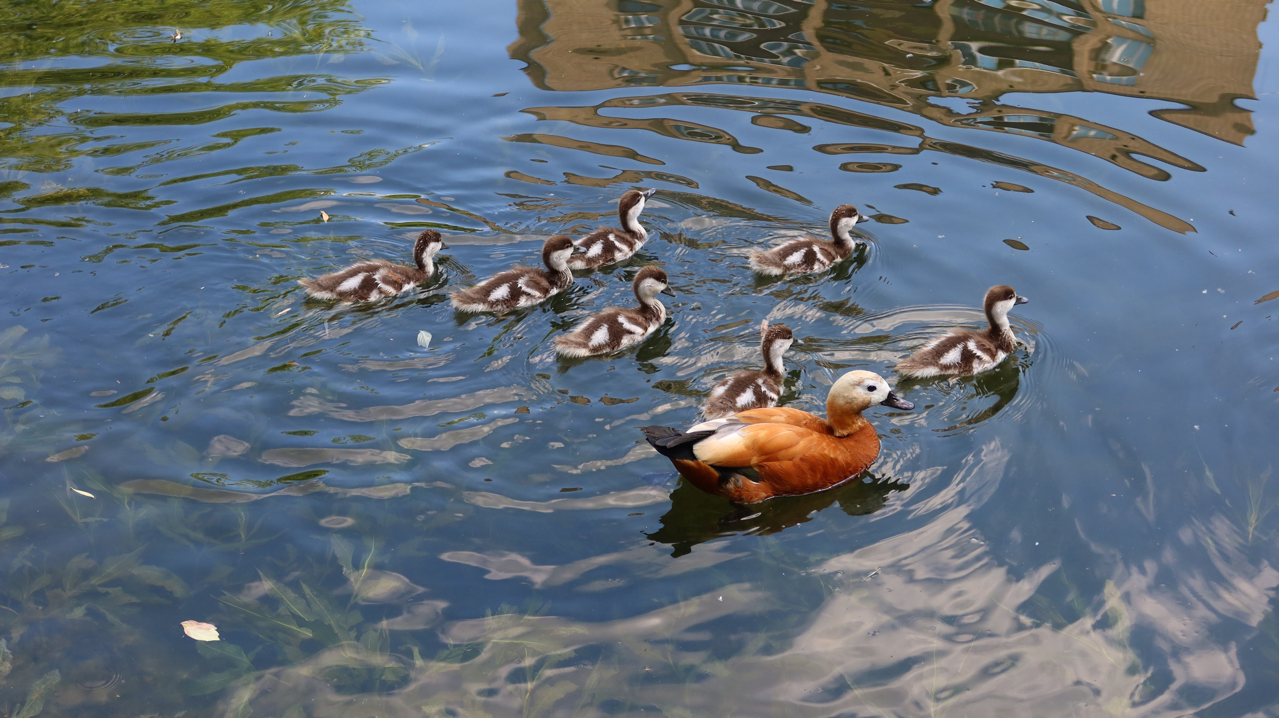 Антроповский сквер. Улица, люди, жизнь…