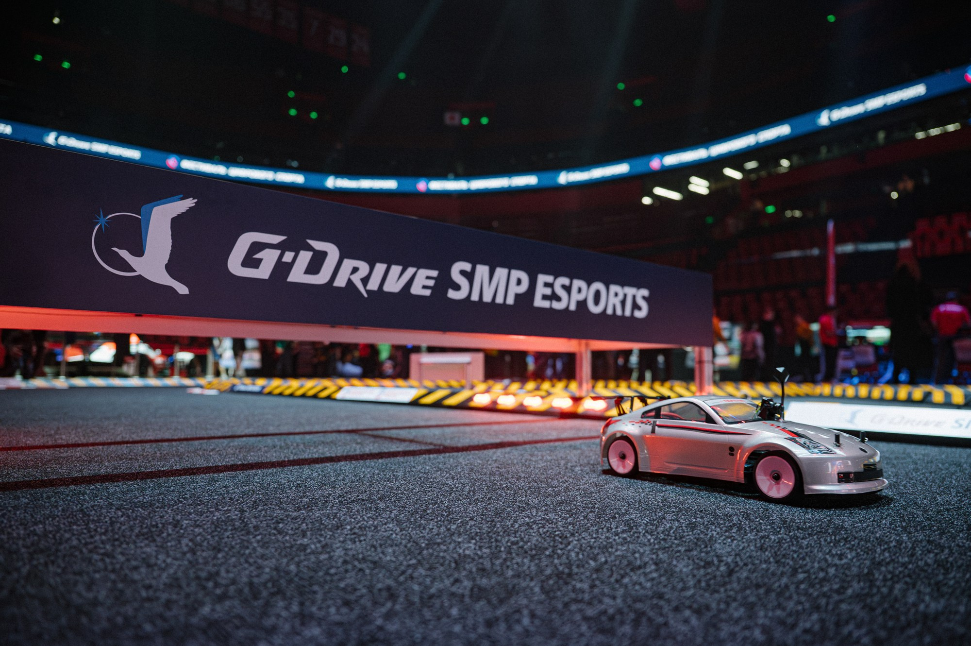 G-drive Digital Sports Festival. Свадебный и портретный фотограф в Москве Сергей Бузин