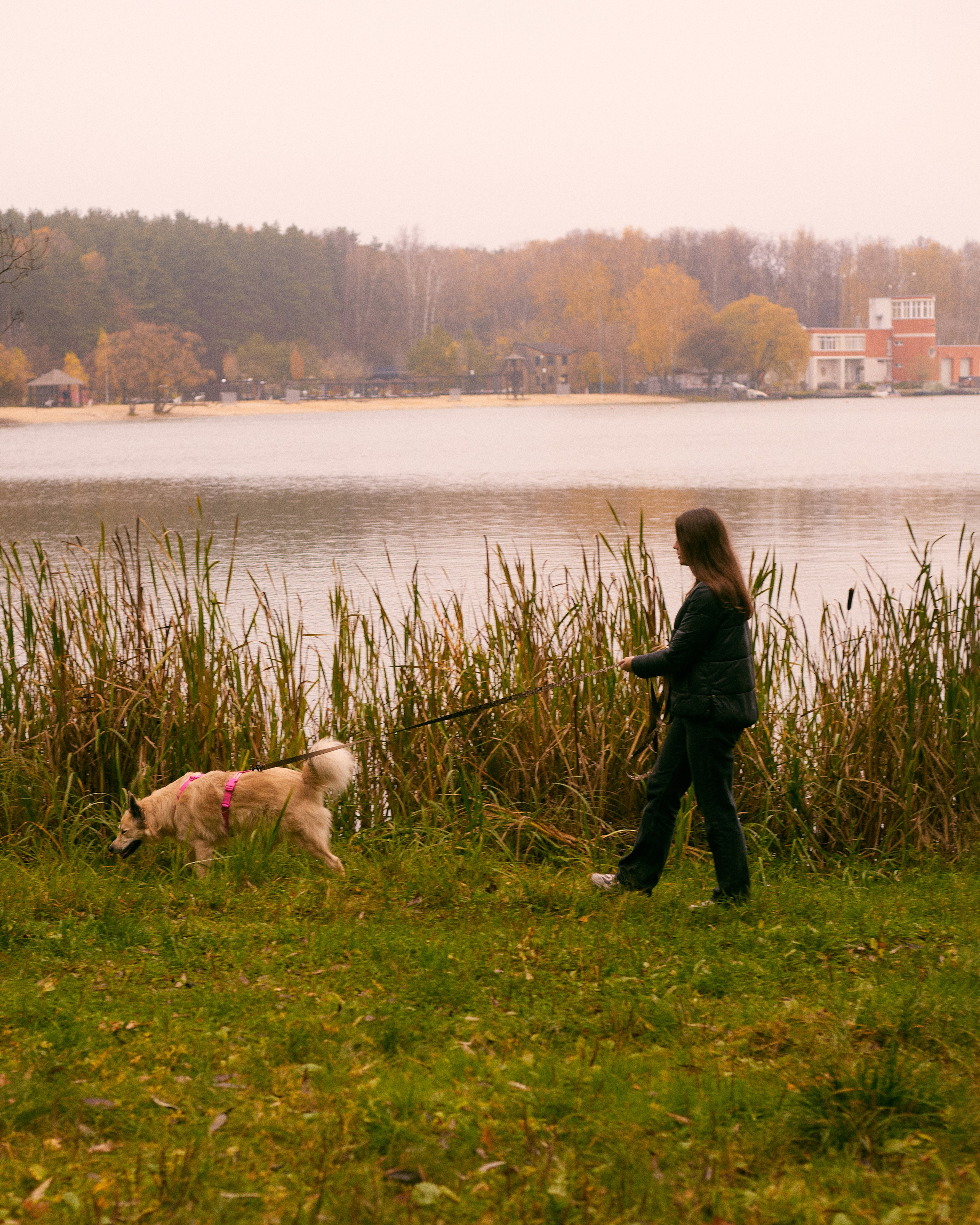 С животными. Главная