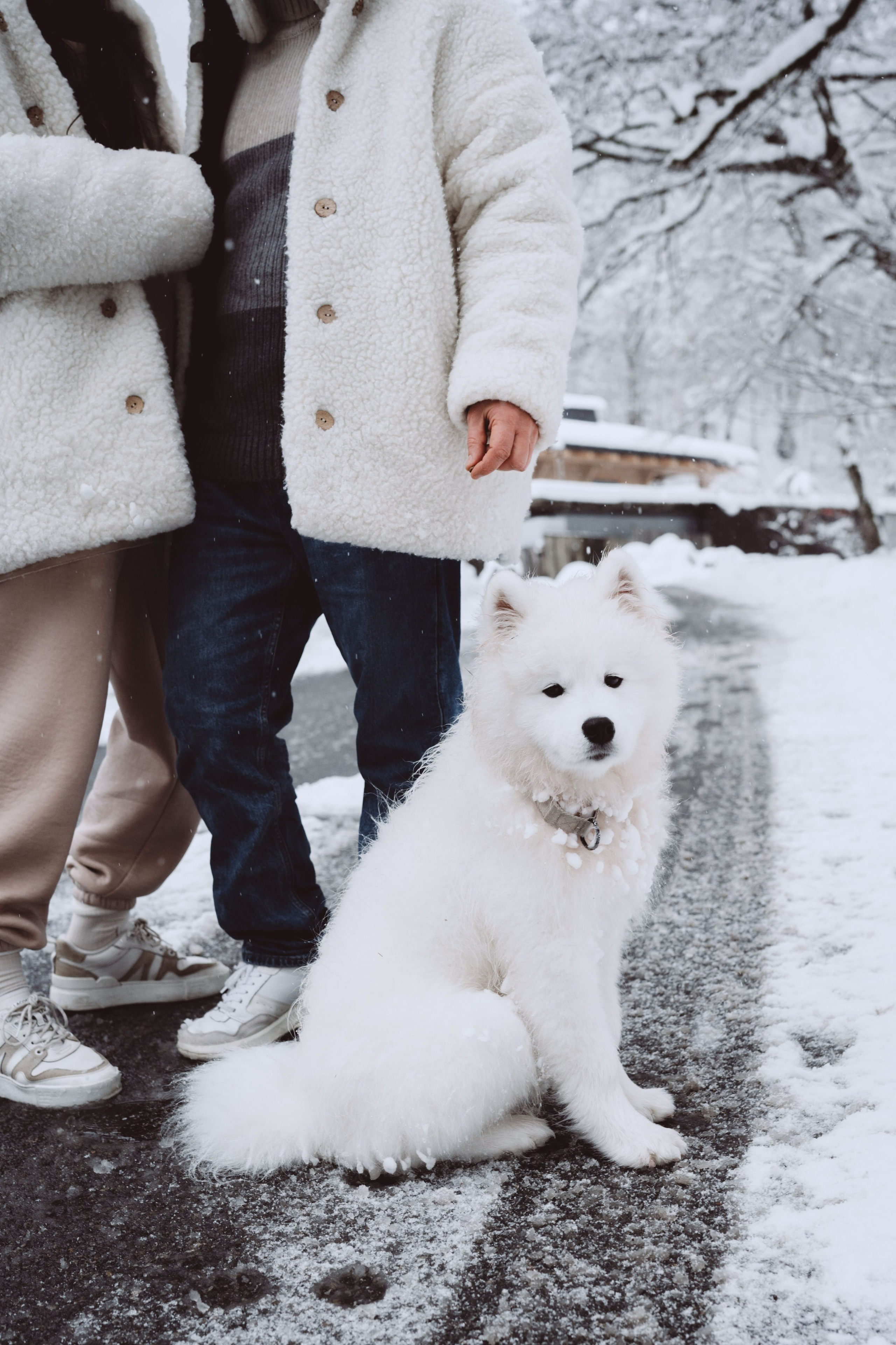 Антон, Дарья и Шани. Фотограф в Сочи Щетинина Анастасия