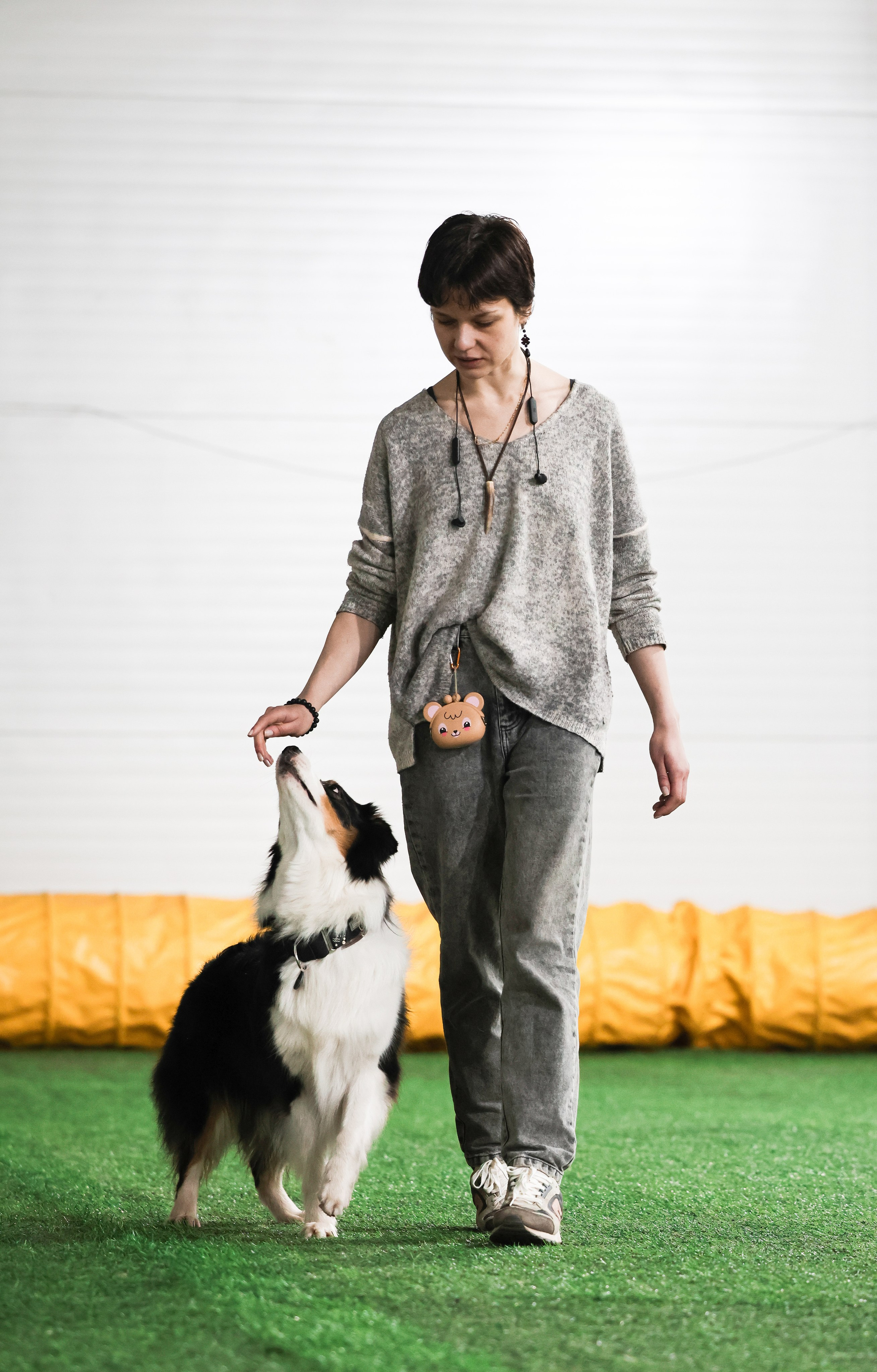 Рави. BLGKV питомник собак