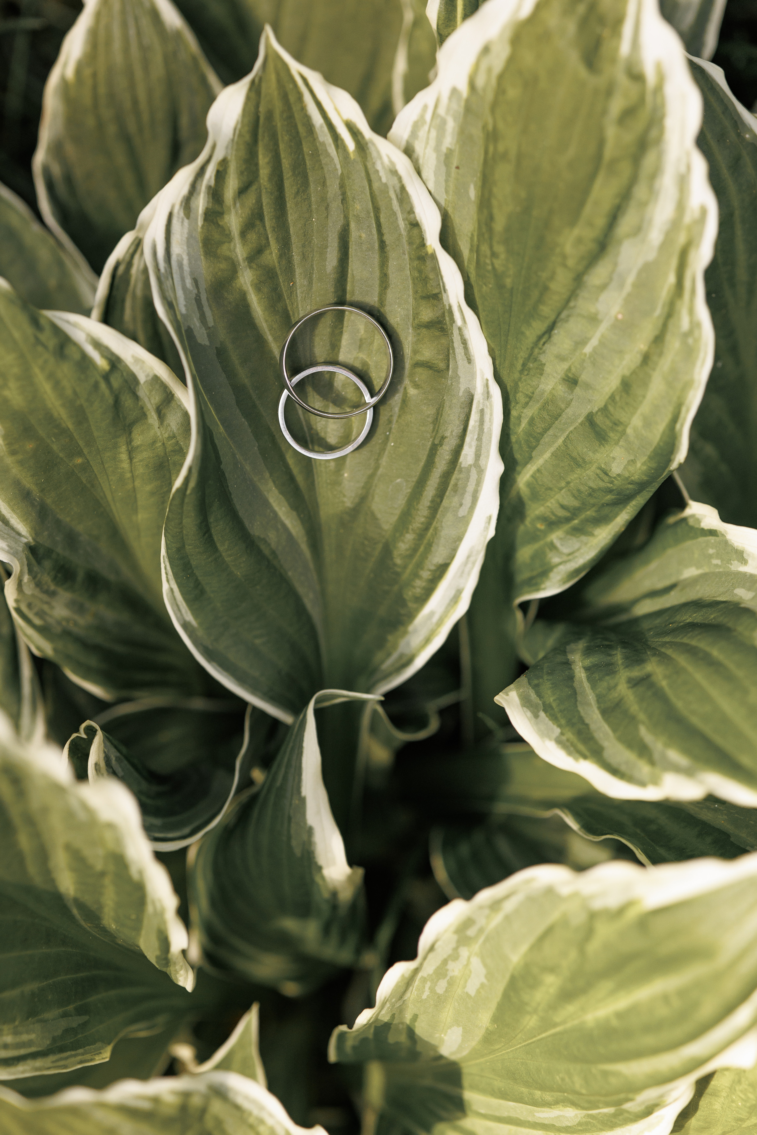 Татьяна и Андрей