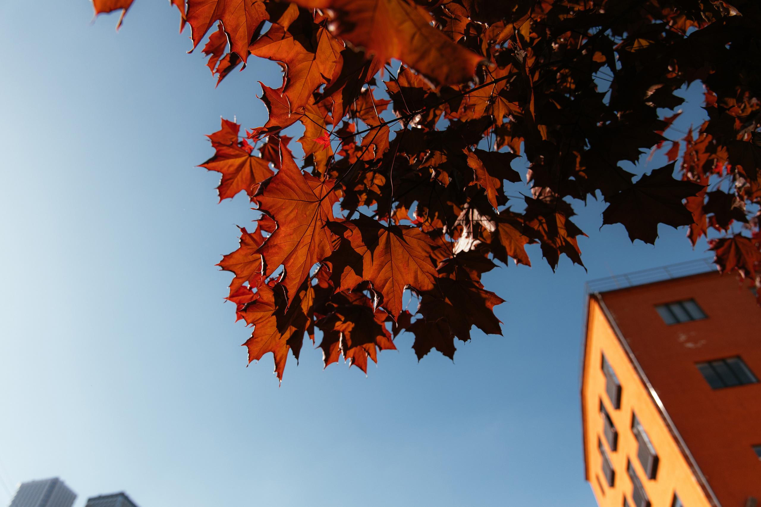 Сергей и Настя