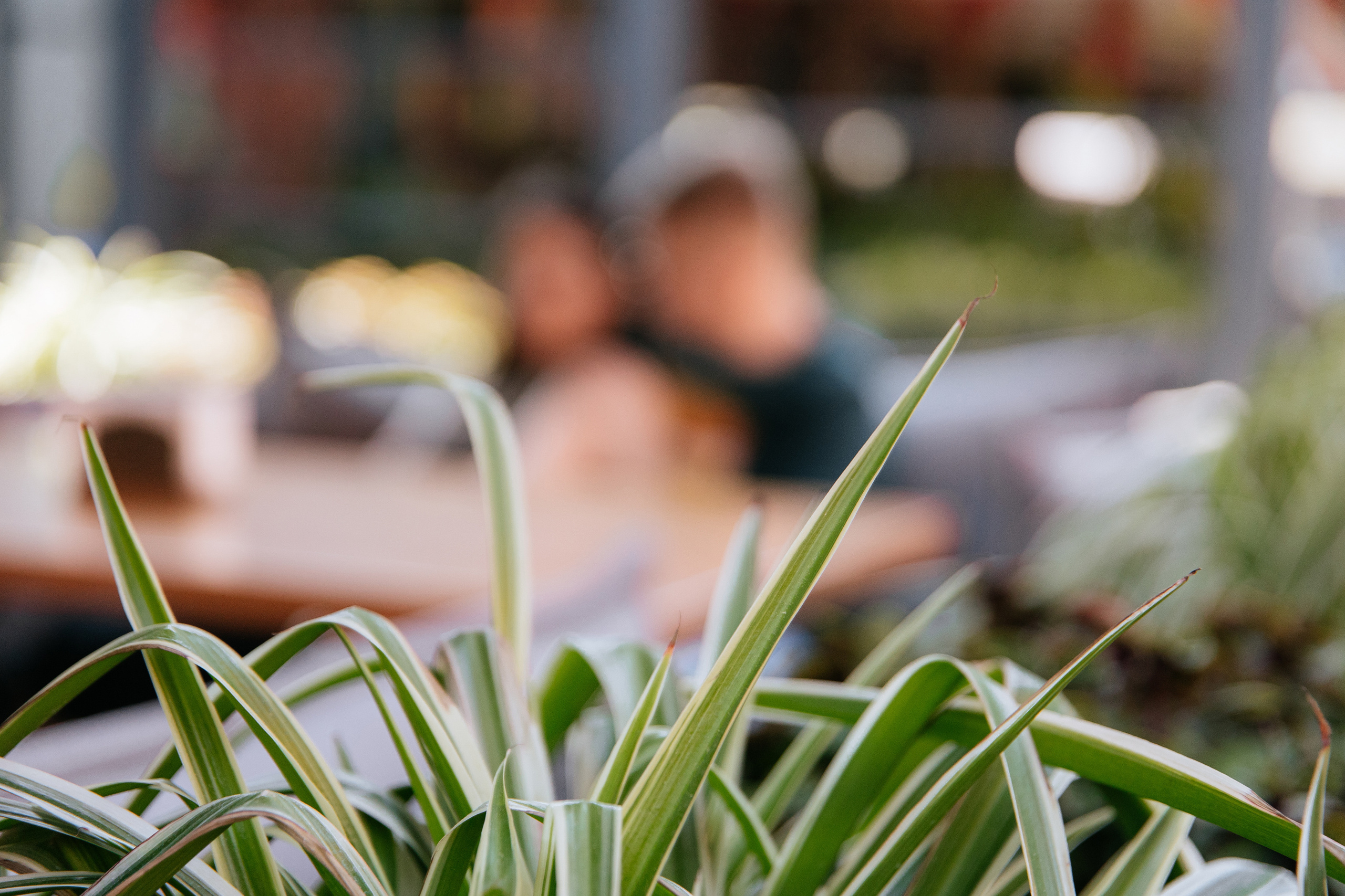 Сергей и Настя