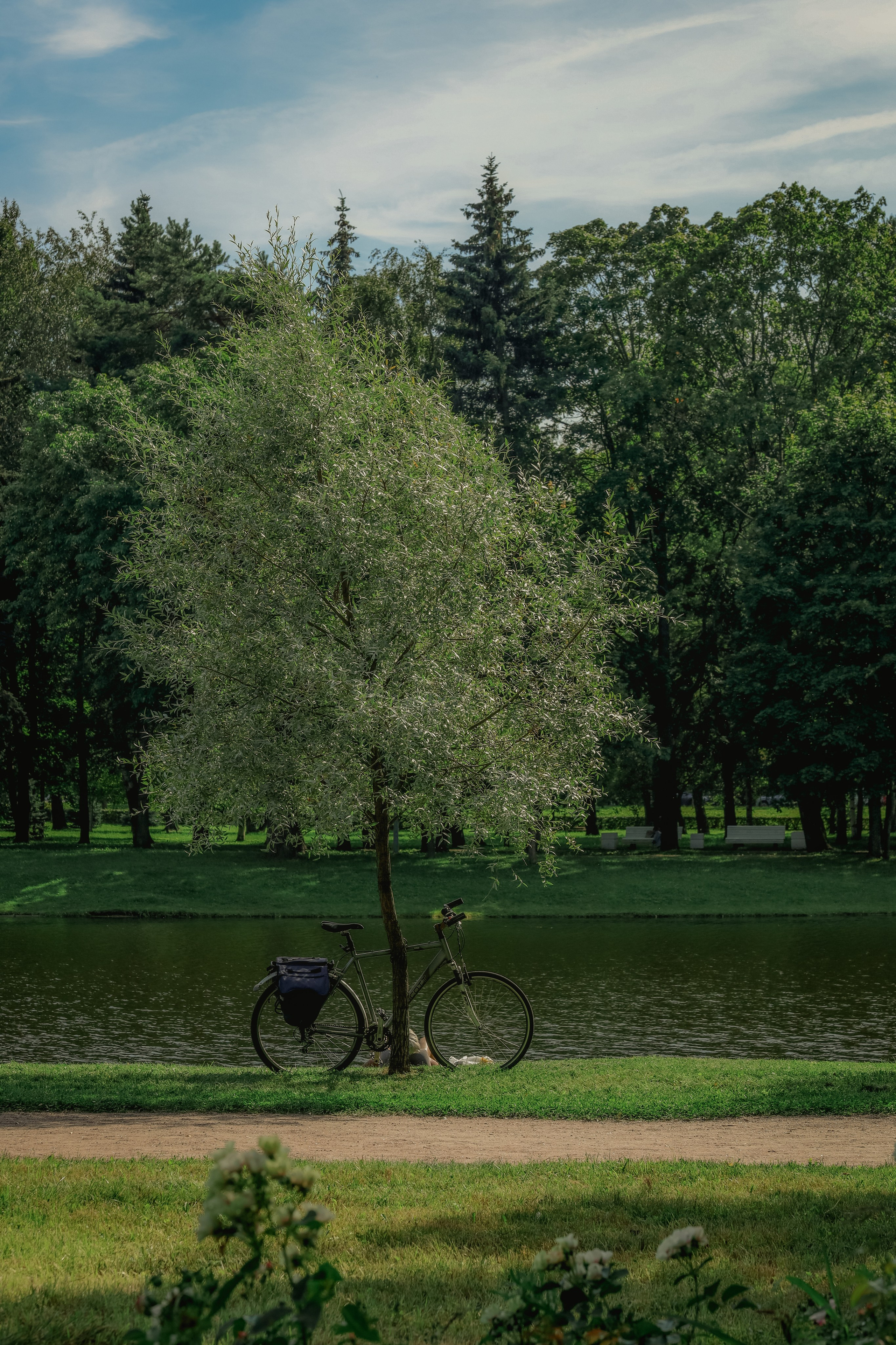 Природа &. Фотохудожник в СПб