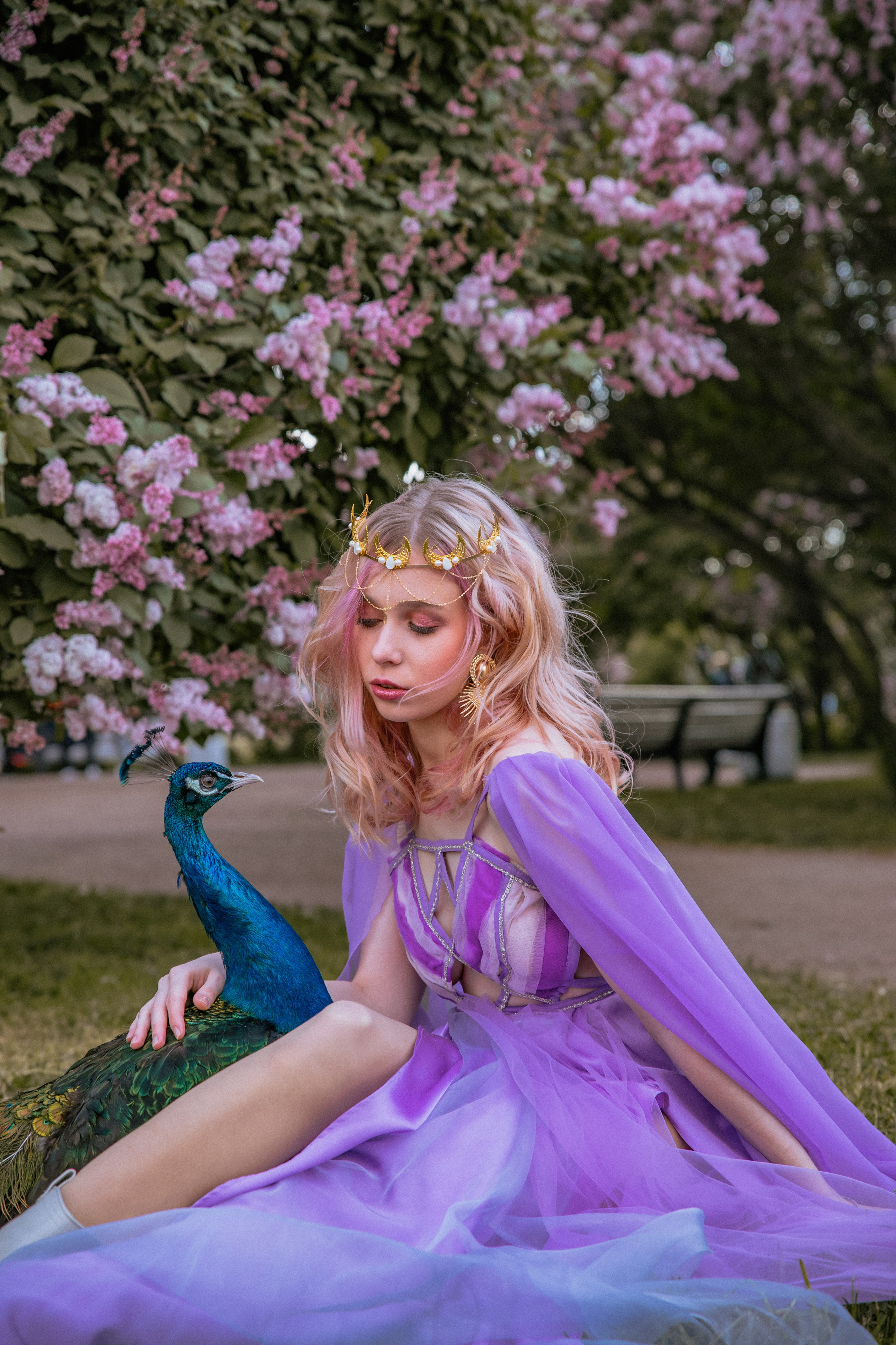 Павлин. Elena Sova — семейный и женский фотограф в Санкт-Петербурге