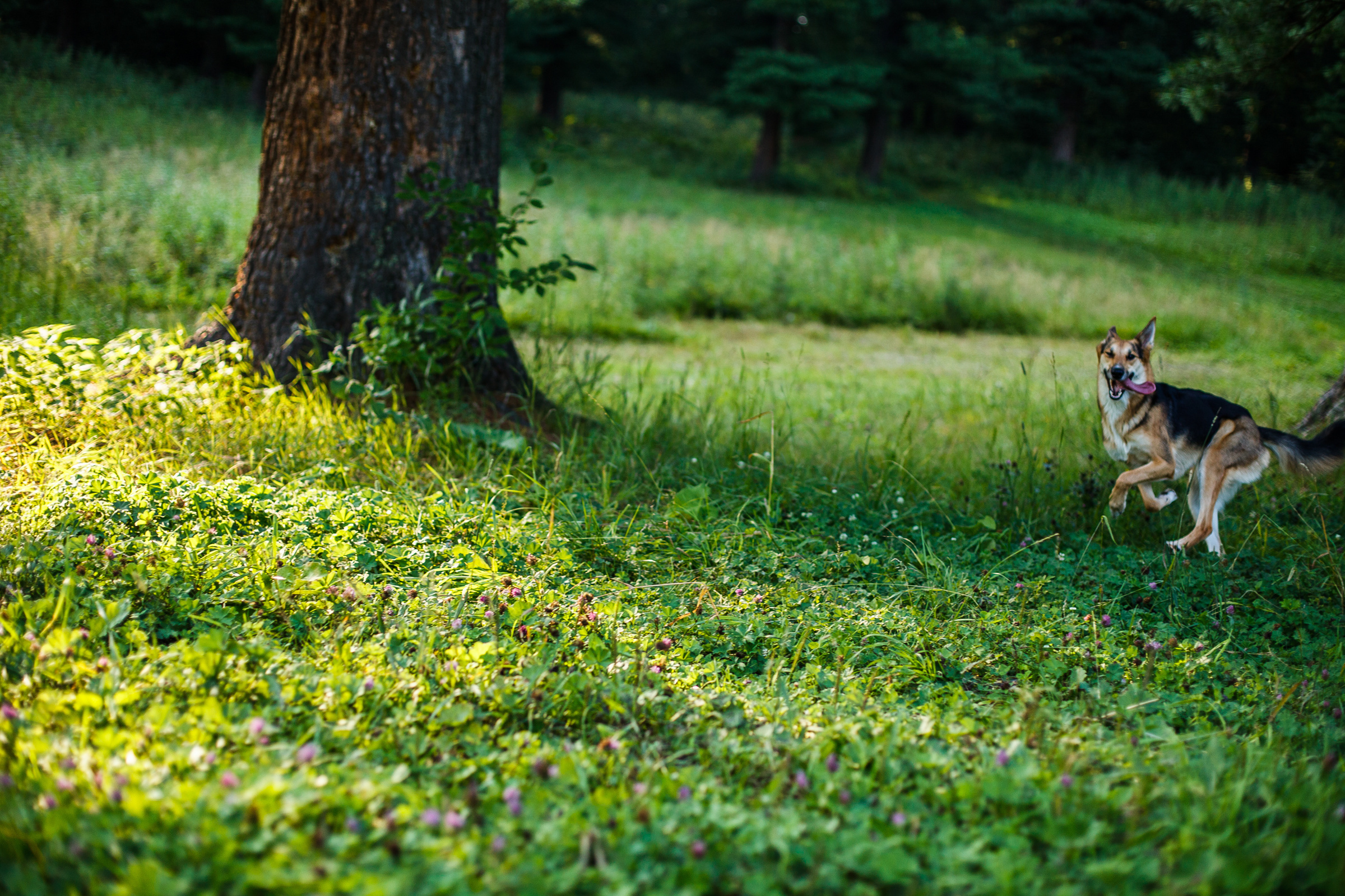 Лавстори Томск. Евгения Орлова