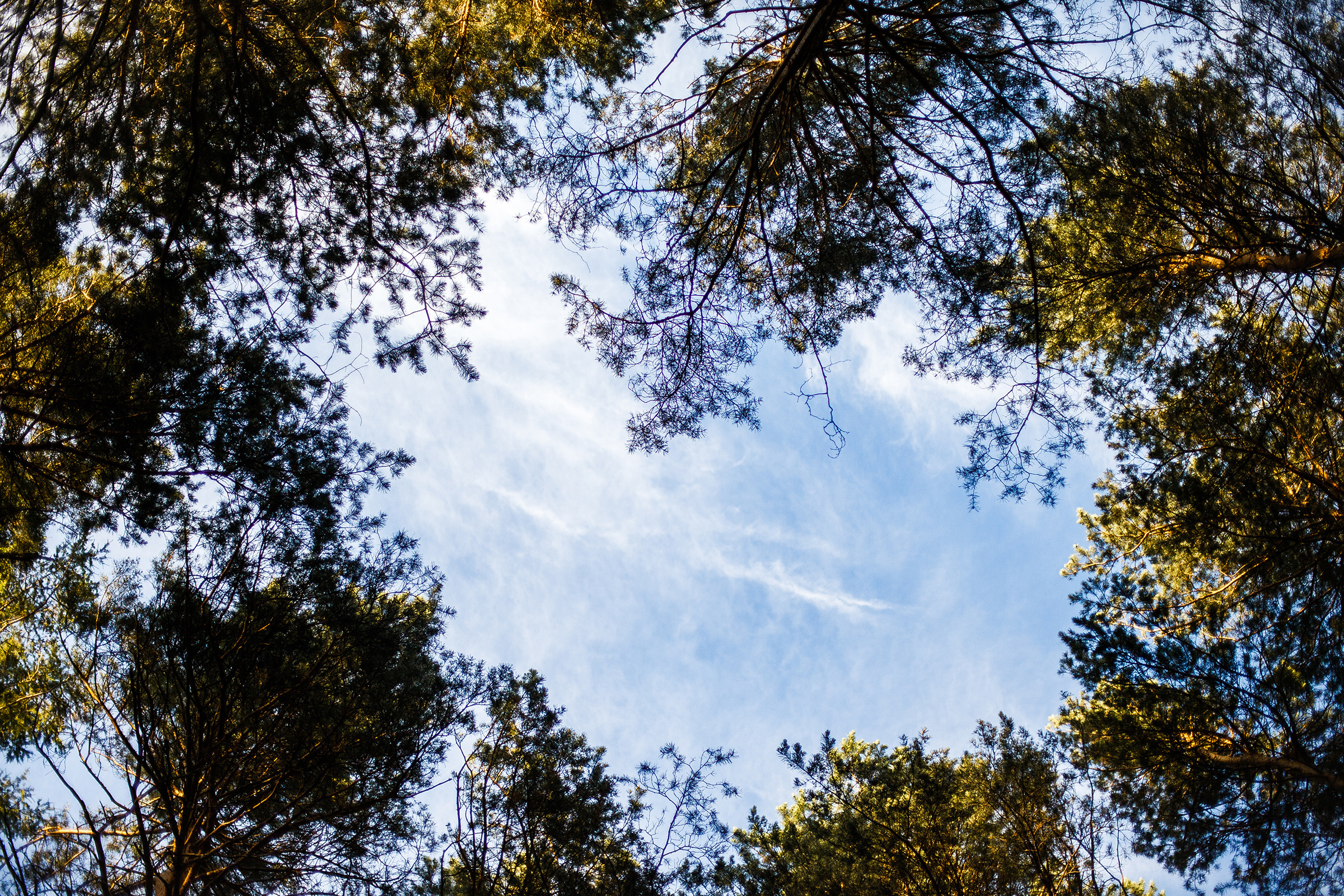 Это Северск, детка. Евгения Орлова