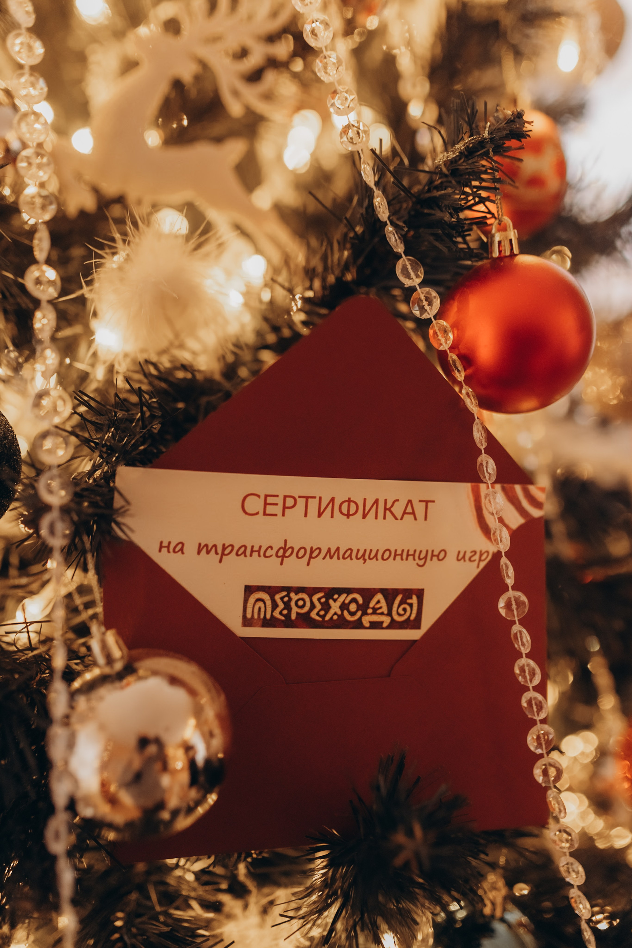 13.12 Семейная 2. Семейный и домашний фотограф Советский Югорск Екатерина Цыганок