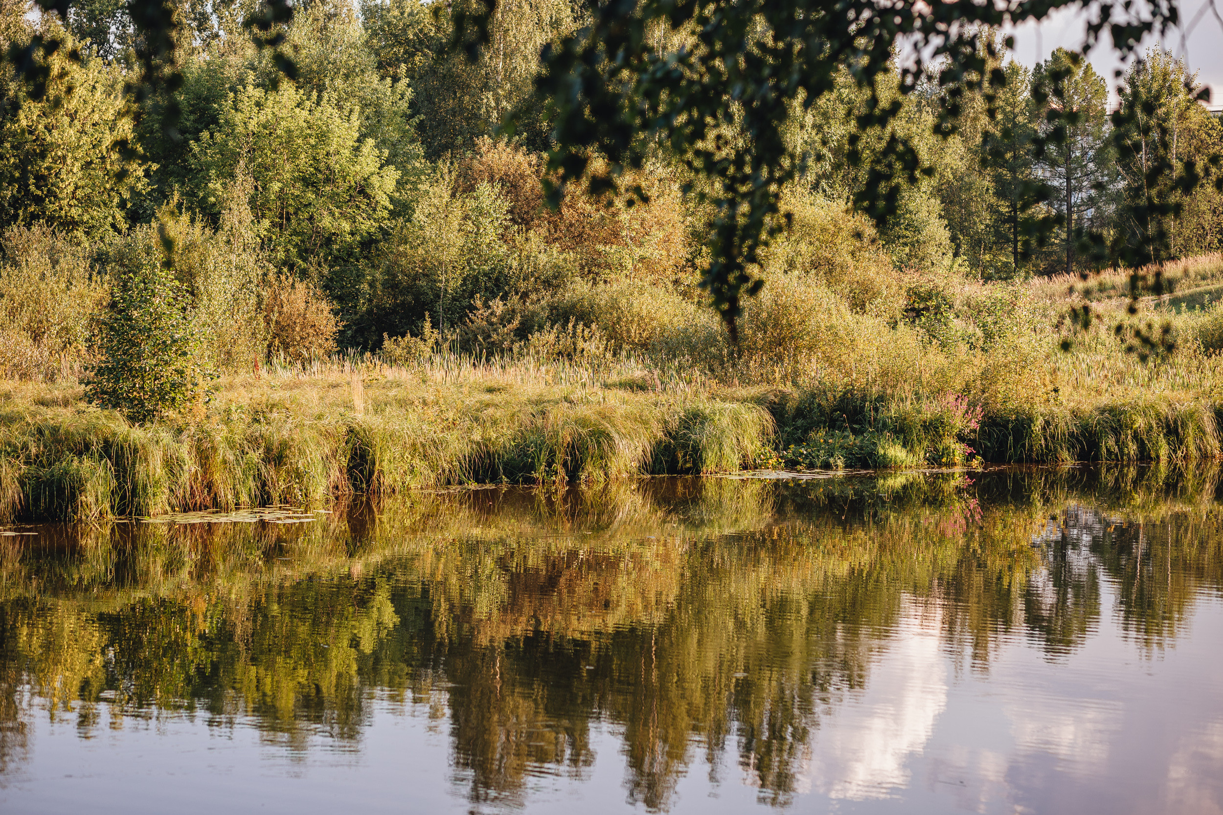 День рождения Арсения. Семейный фотограф Анастасия Паршикова