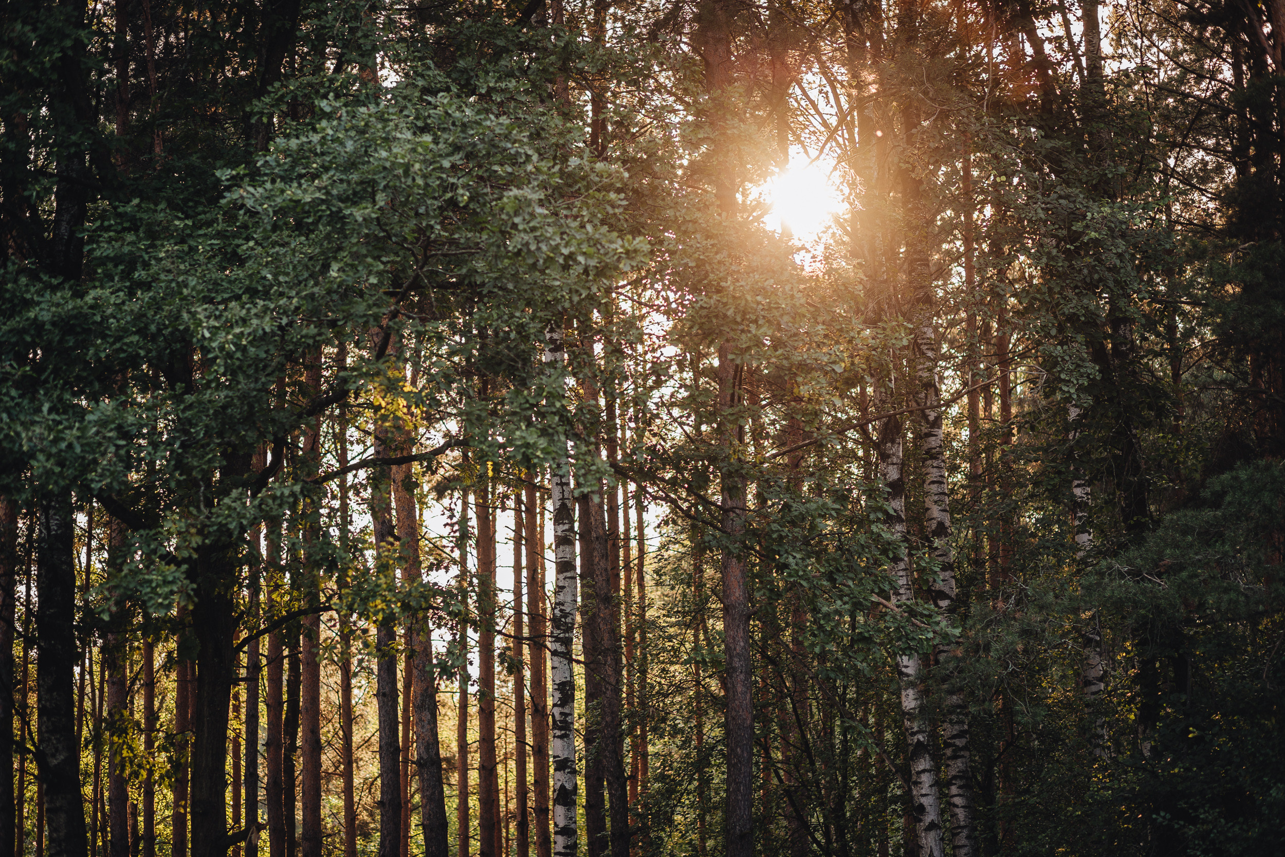 День рождения Арсения. Семейный фотограф Анастасия Паршикова