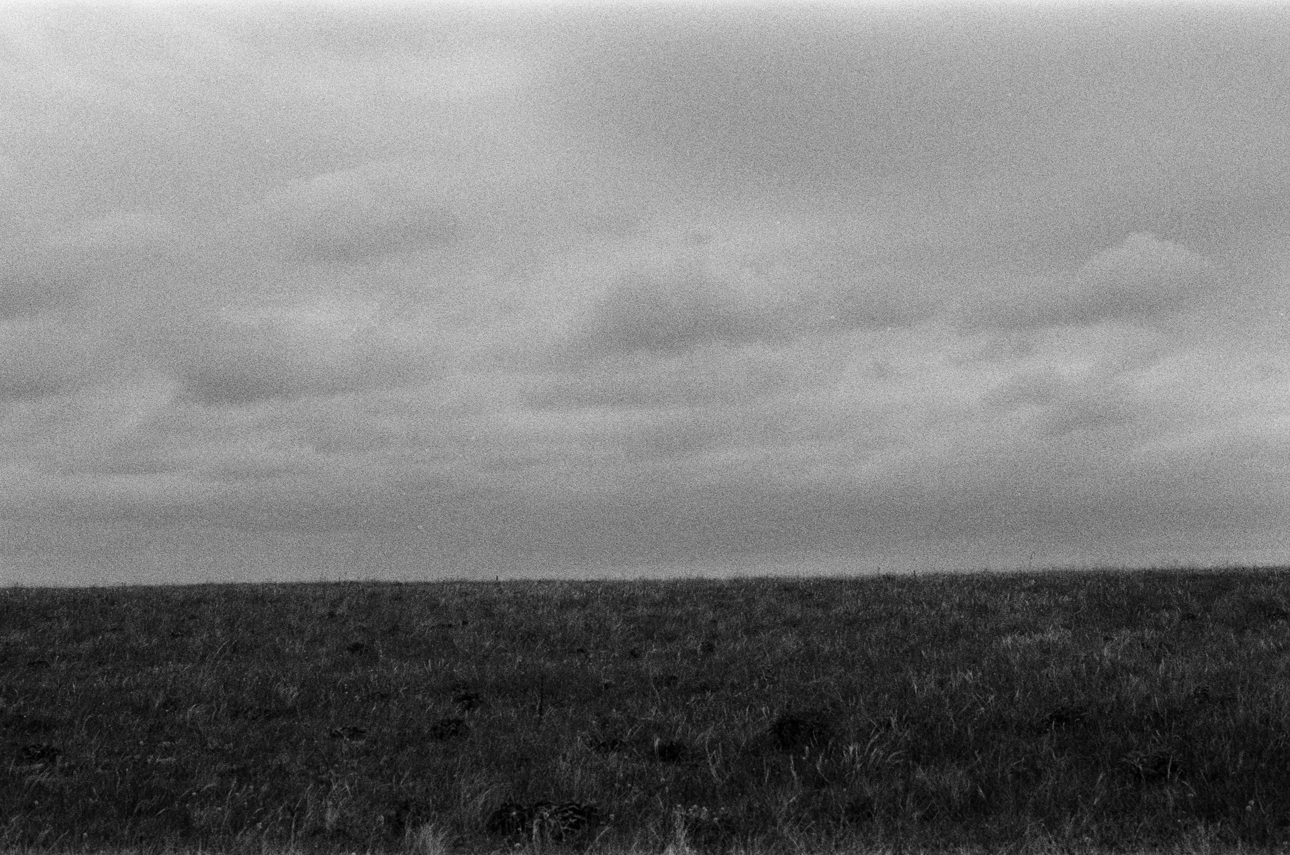 Move me // ukraine, crimea. EVER EXPOSED