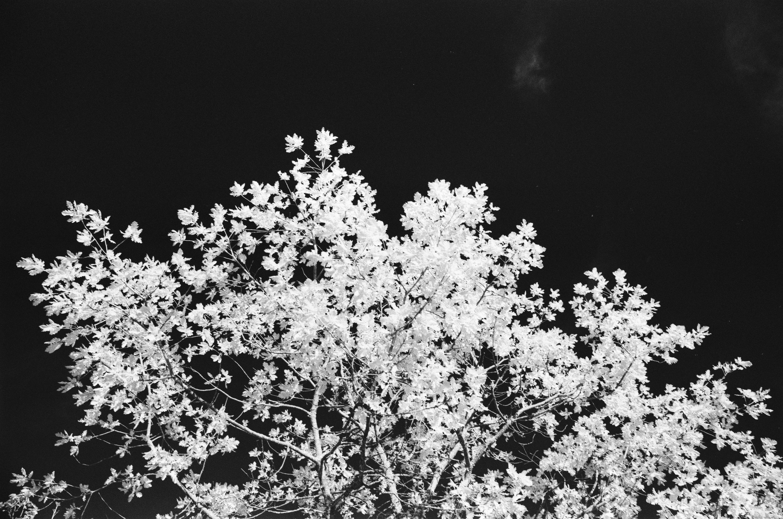 Point of no reply // ukraine, crimea IX. EVER EXPOSED