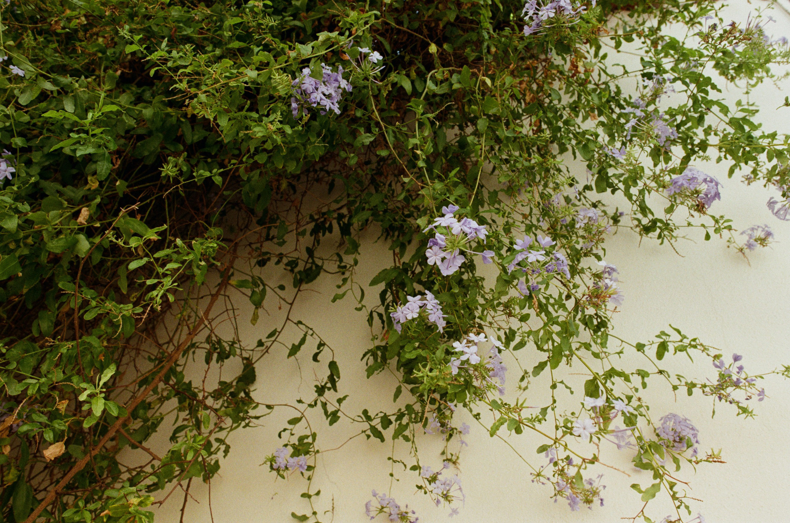 The contract // france, antibes. EVER EXPOSED