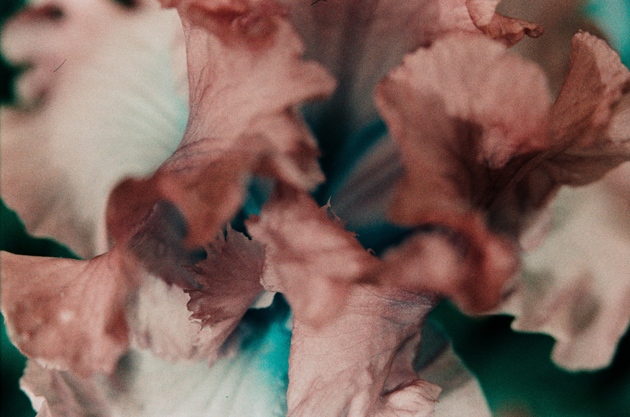 Point of no reply // ukraine, crimea II. EVER EXPOSED