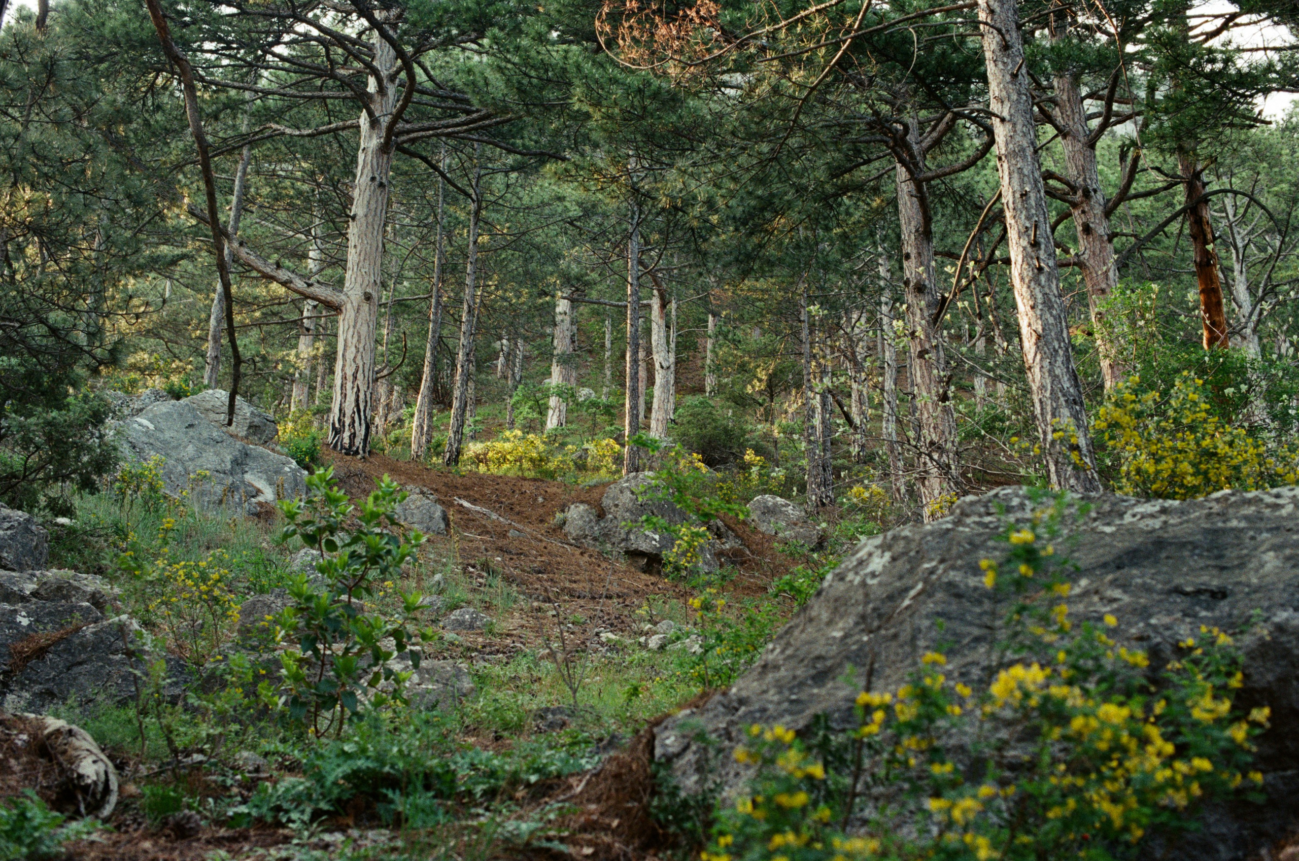 Silent running // ukraine, crimea II. EVER EXPOSED