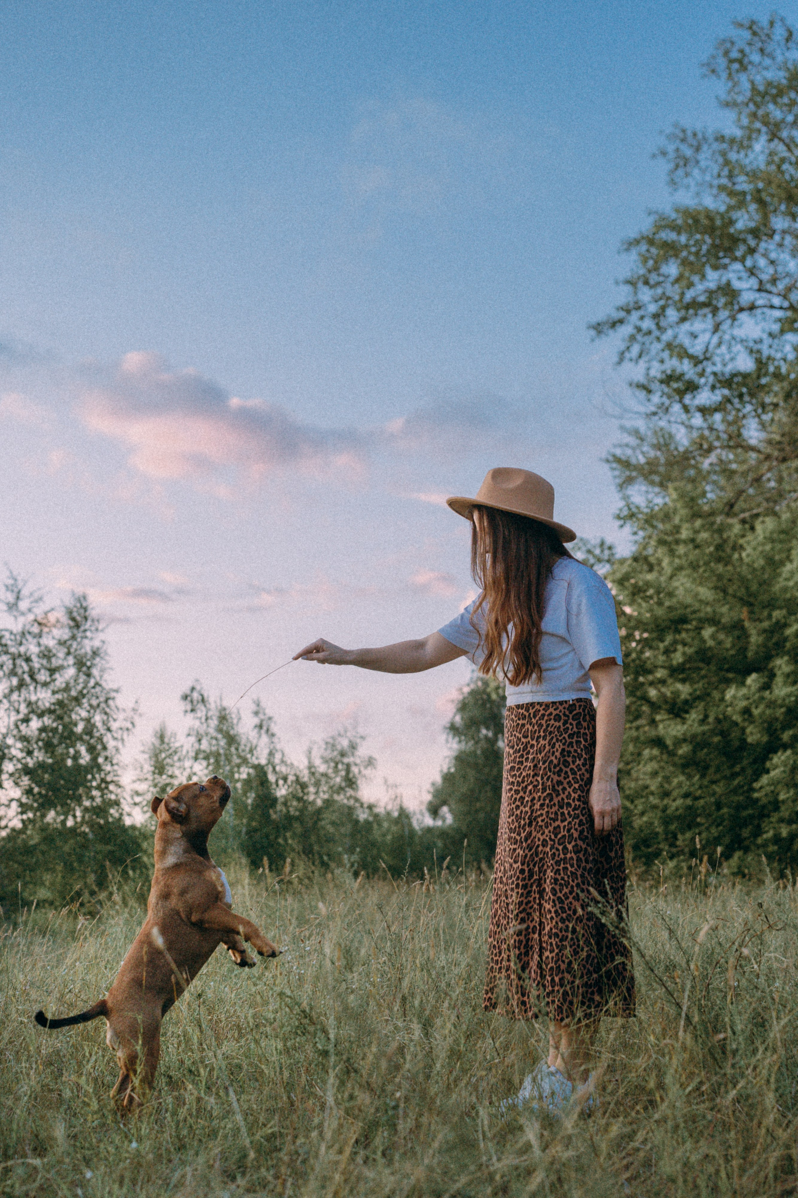 Кристина и Эфи. Фотограф анималист в Москве и Санкт-Петербурге Свиридова Анна