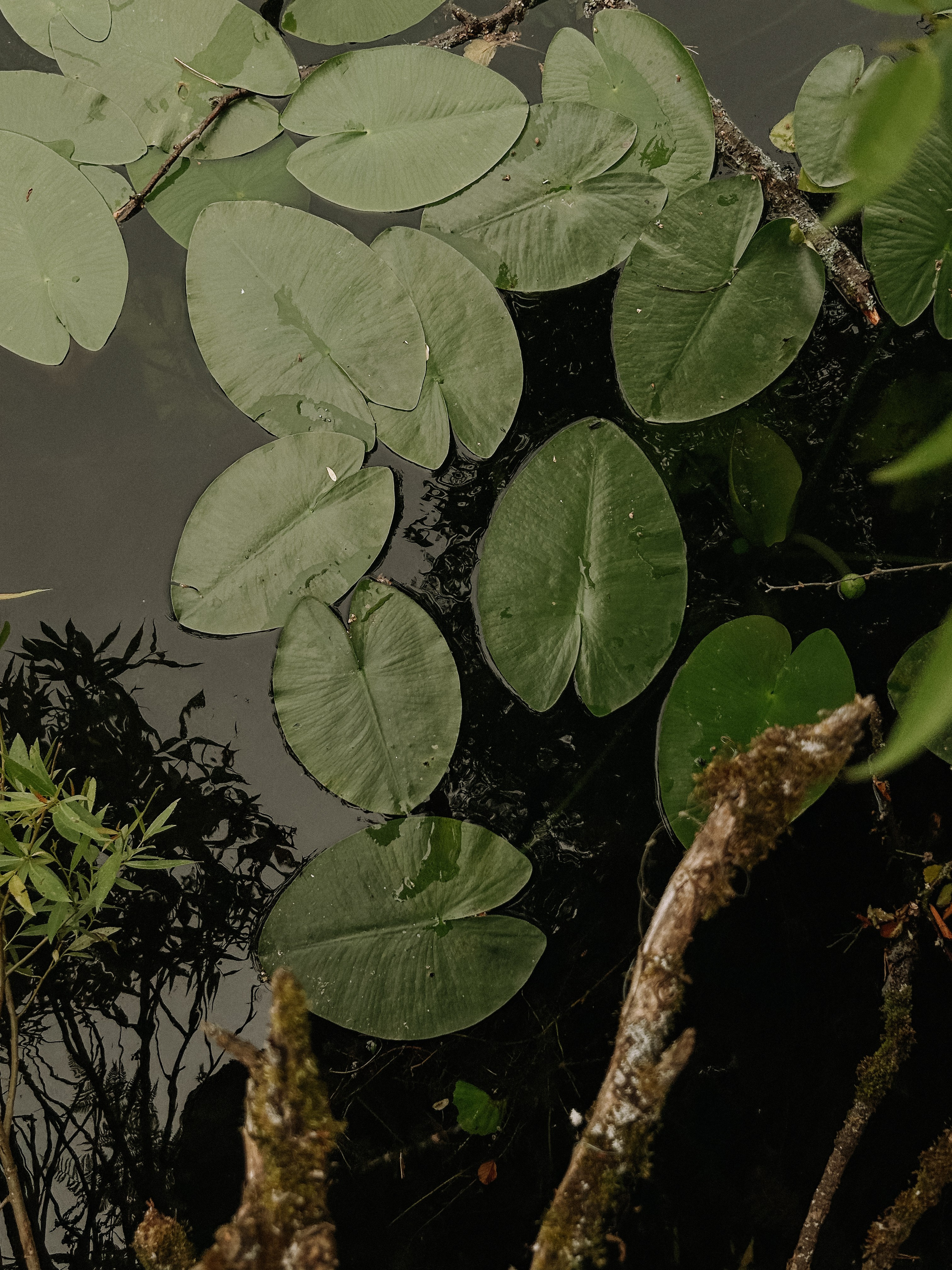 Happy Birthday, Alina ♥️. <3