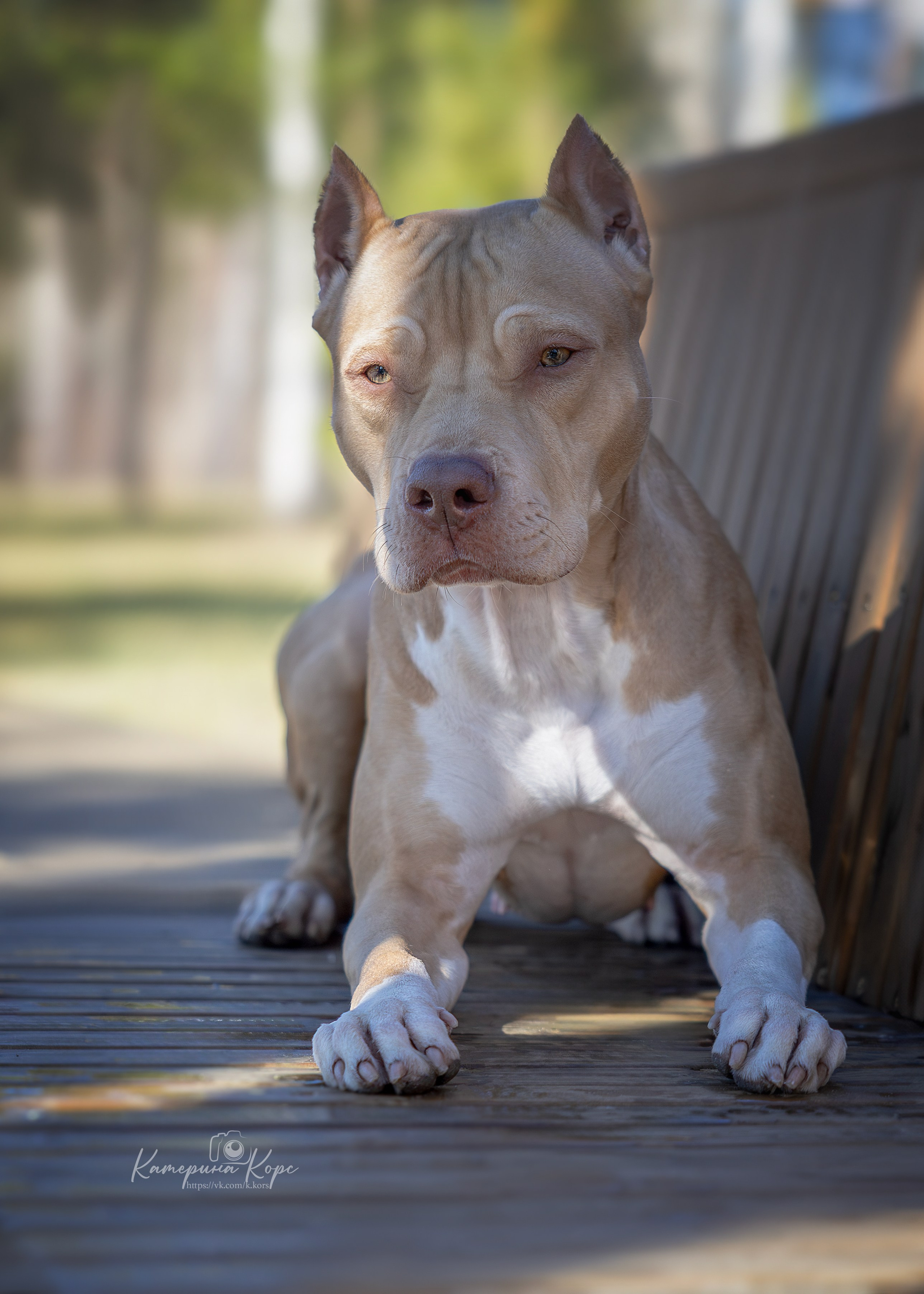 АПБТ Нарния. Главная