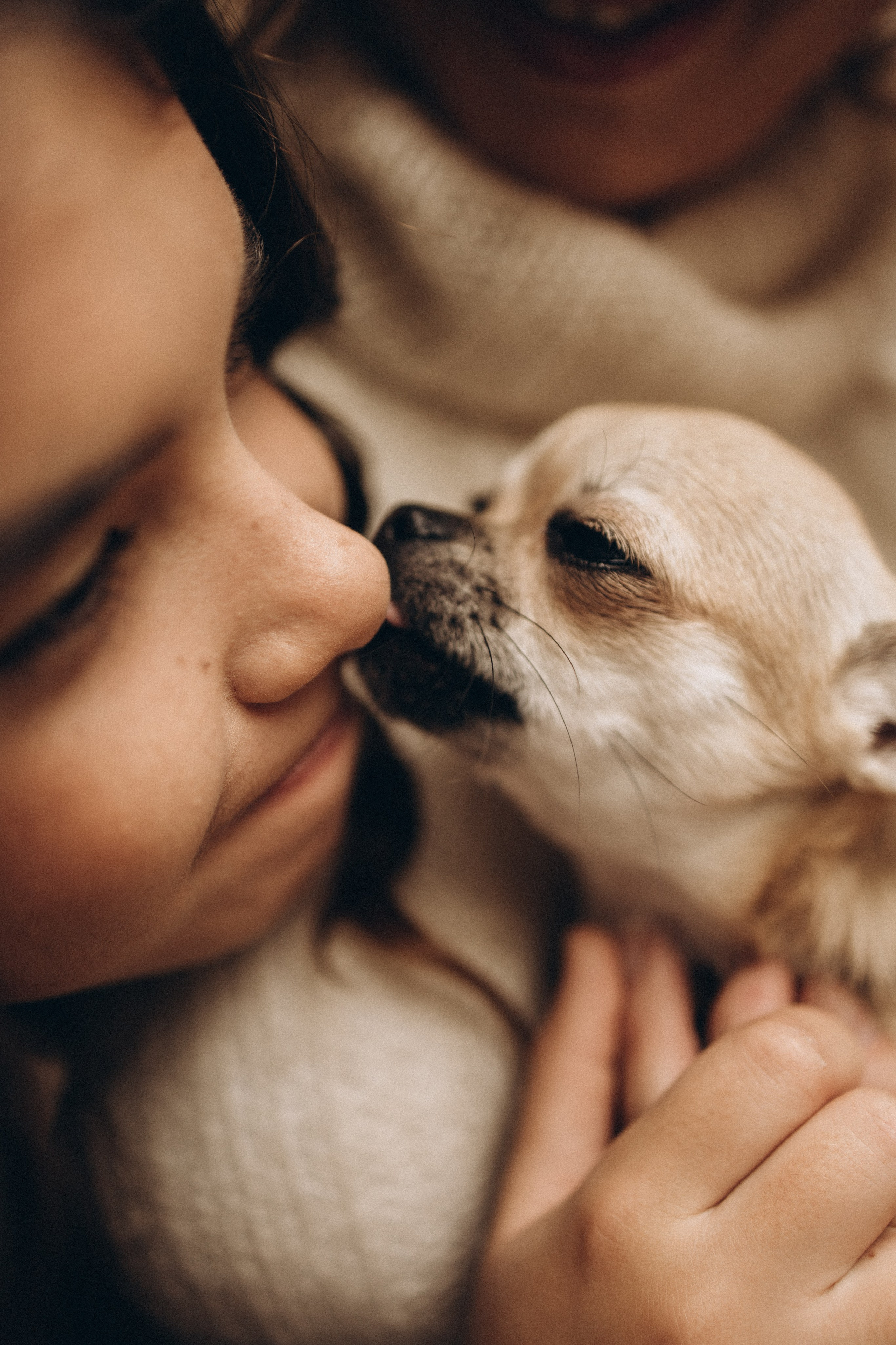 Семейная. Семейный и детский фотограф в Санкт-Петербурге Павлова Елена