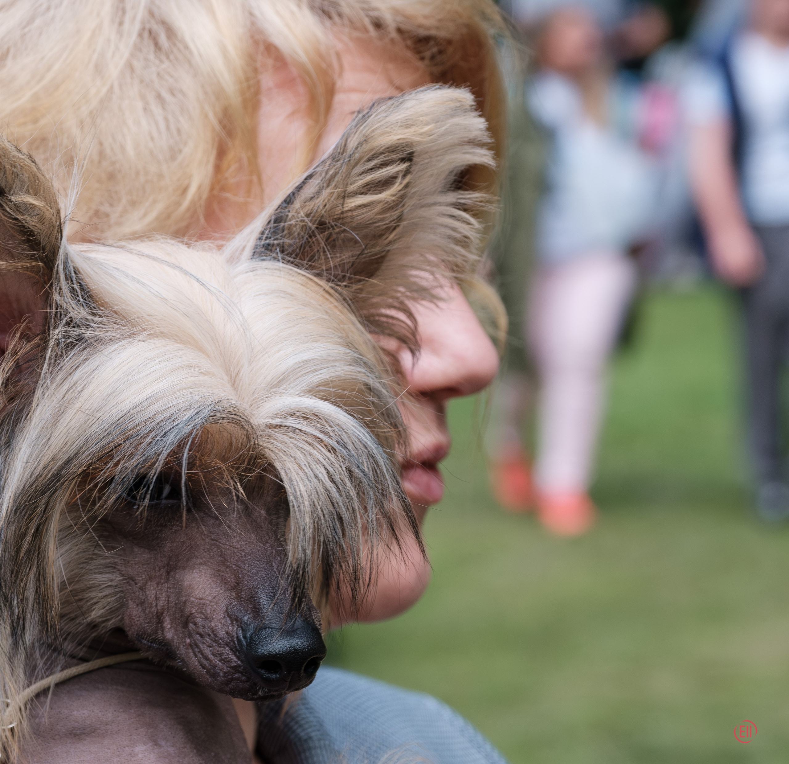 О новом. Фотограф в Москве