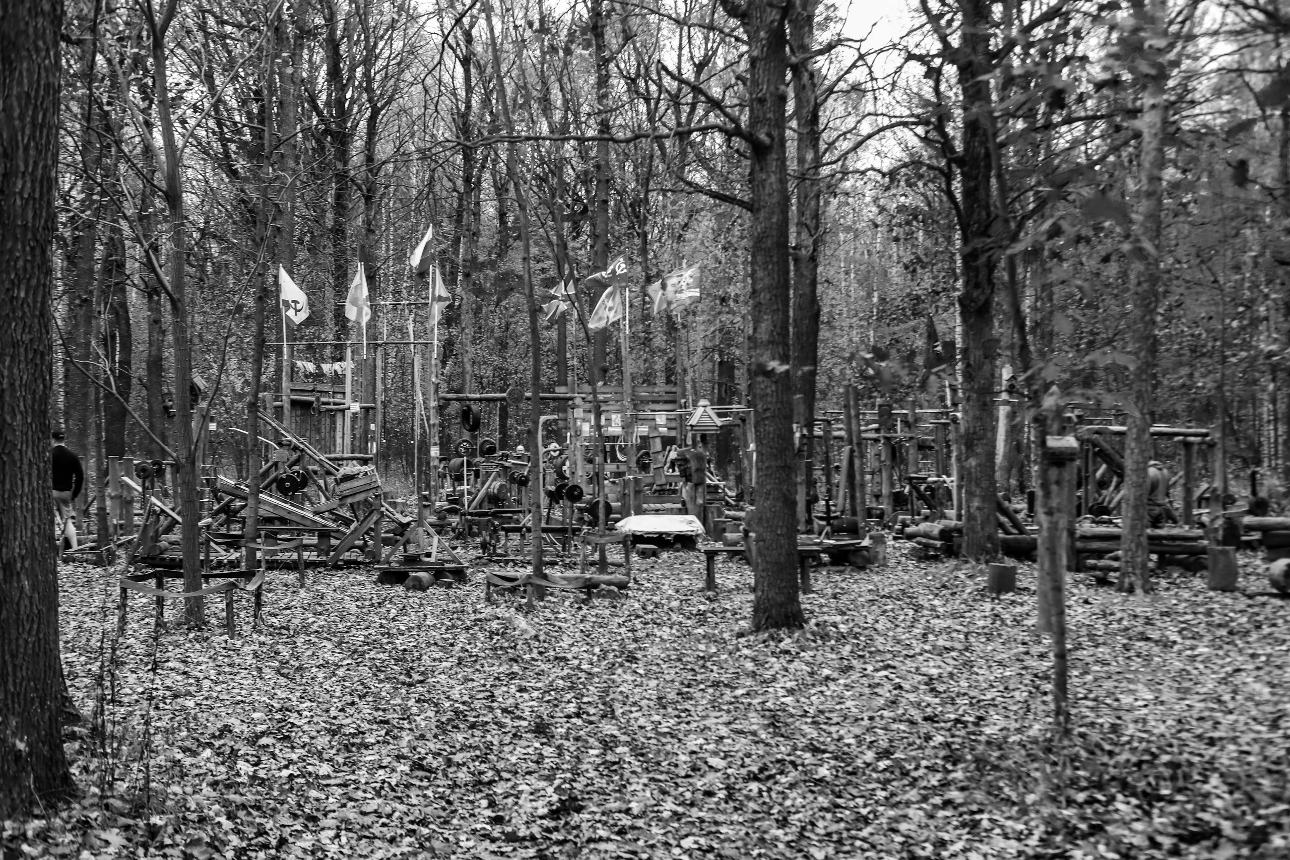 Качалка в лесу — 2022. Стас Привалов