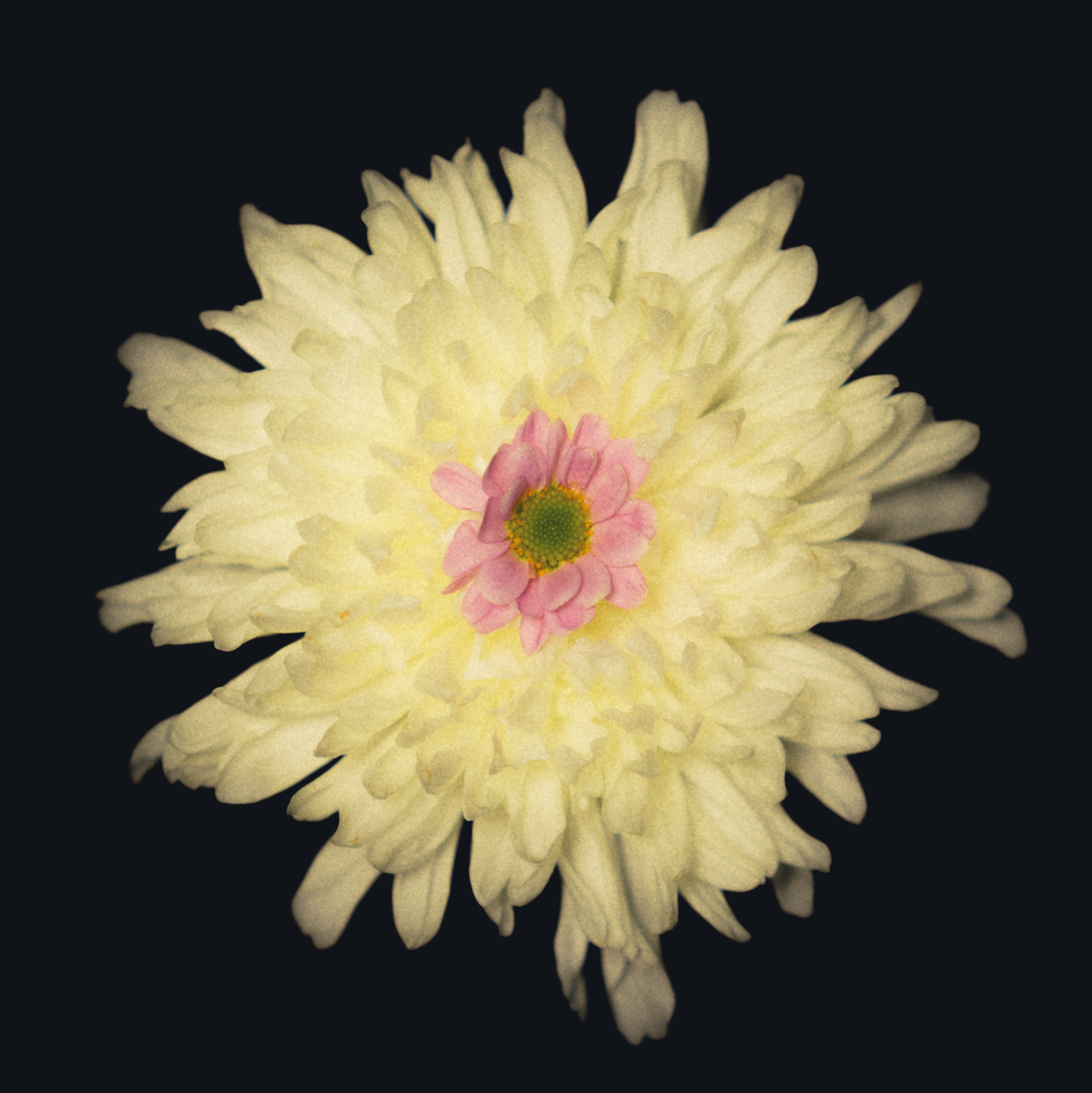 Единство (серия). Мистические фотосессии в Санкт-Петербурге от мистика Ильи Шенгелия