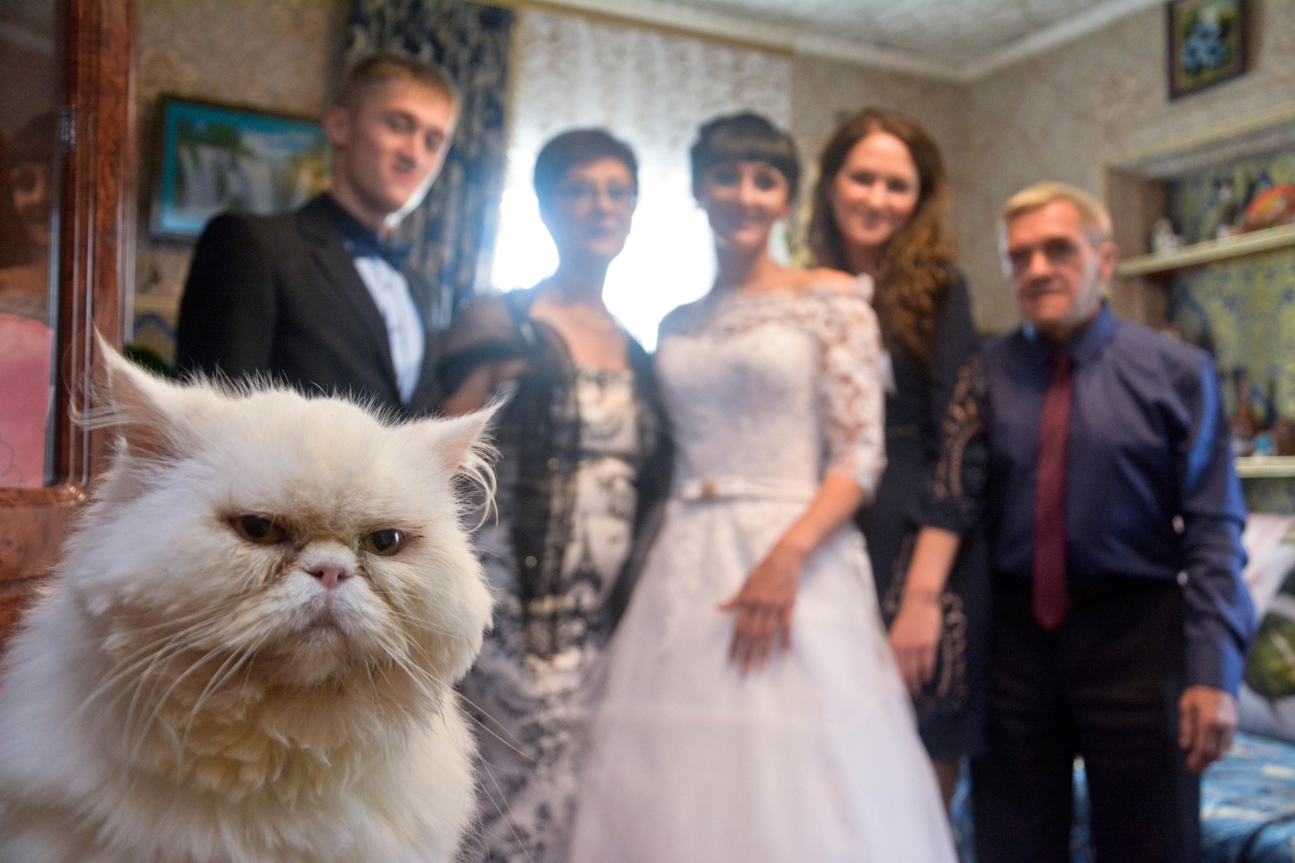 Свадьба Юрия и Ксении в Прокопьевске. Видео оператор и фотограф Владимир Анатольев с Кемеровской области